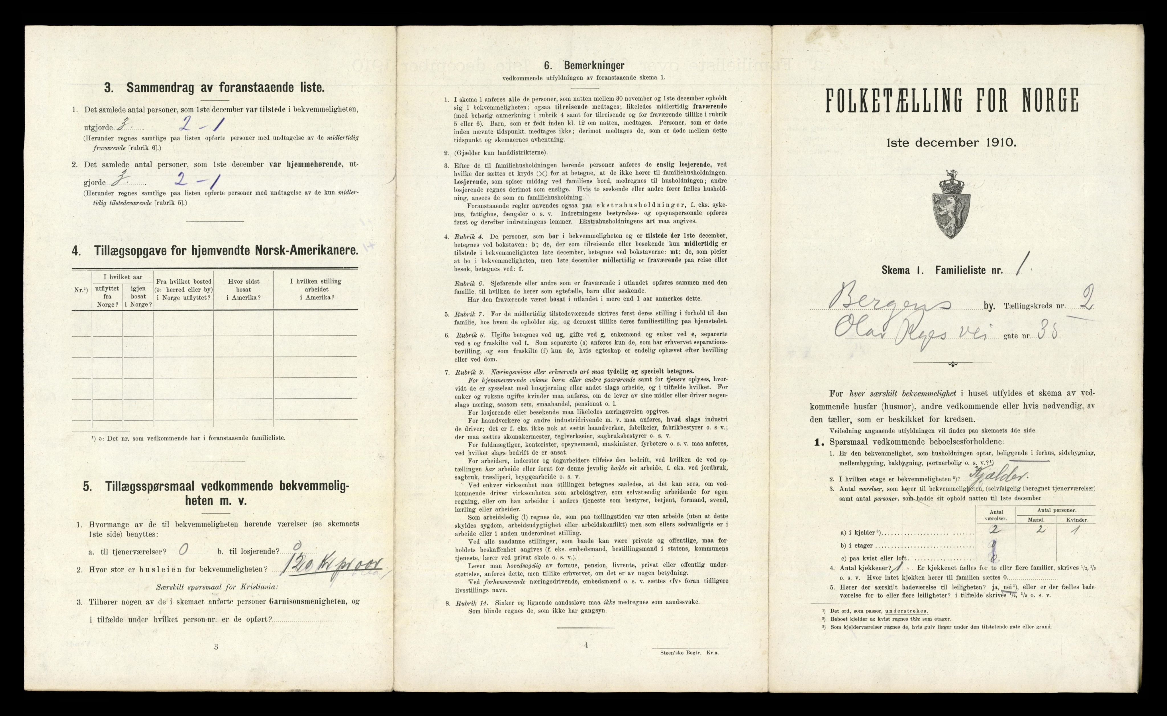 RA, 1910 census for Bergen, 1910, p. 733