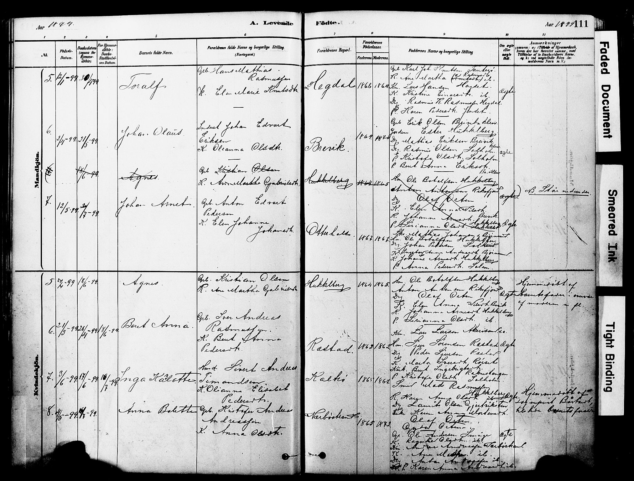 Ministerialprotokoller, klokkerbøker og fødselsregistre - Møre og Romsdal, SAT/A-1454/560/L0721: Parish register (official) no. 560A05, 1878-1917, p. 111