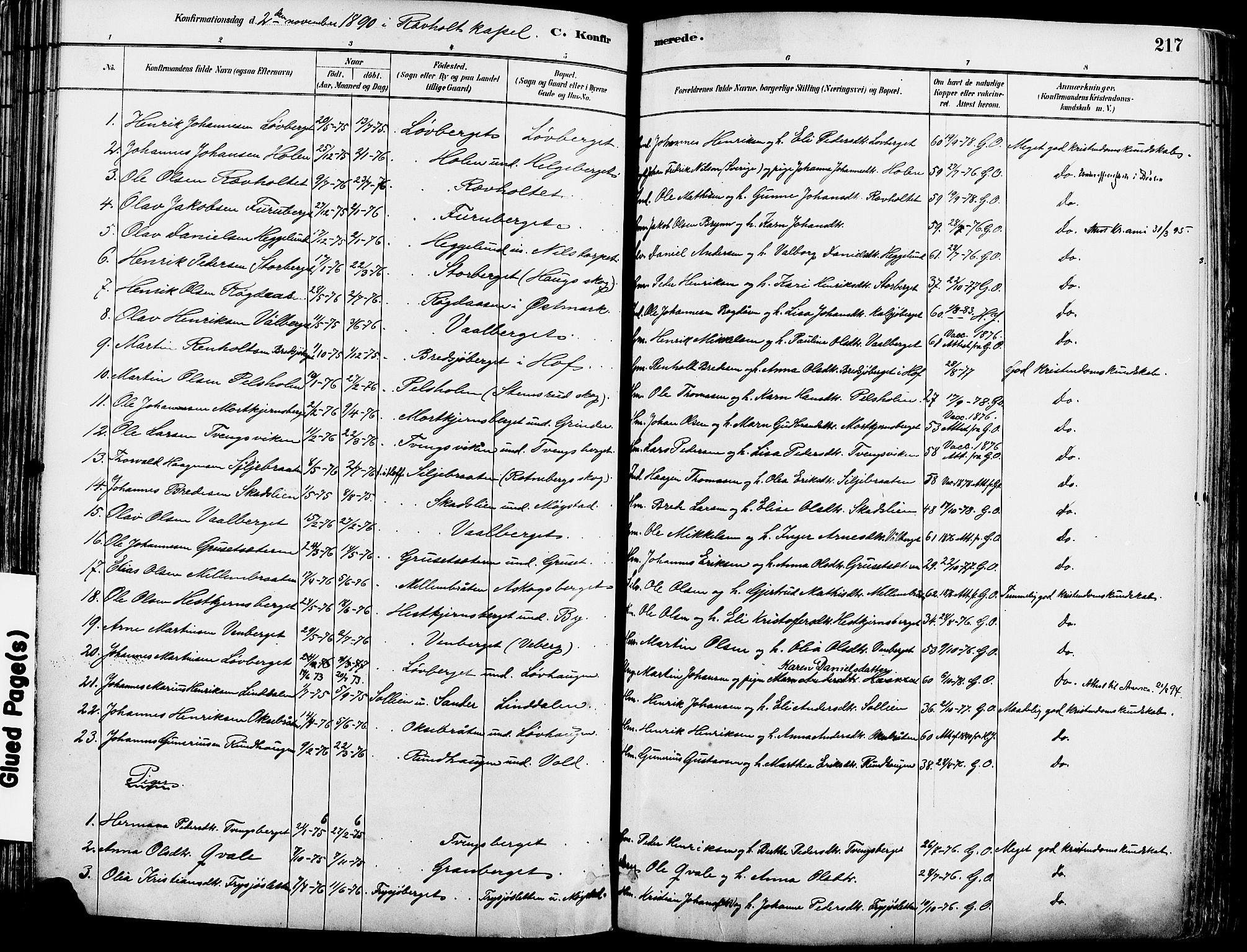 Grue prestekontor, SAH/PREST-036/H/Ha/Haa/L0012: Parish register (official) no. 12, 1881-1897, p. 217