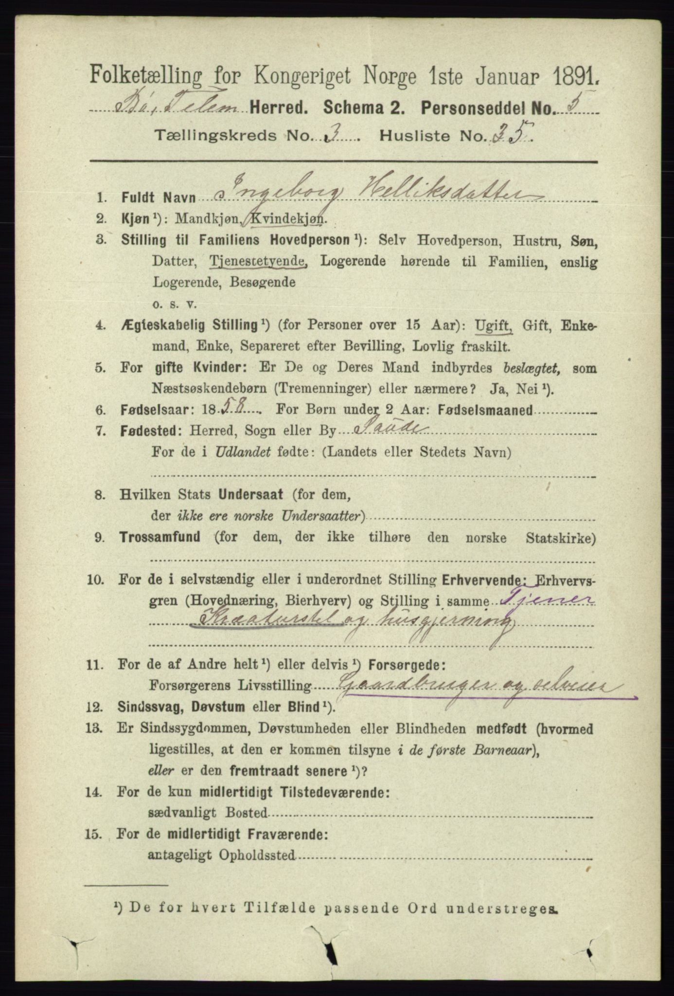 RA, 1891 census for 0821 Bø, 1891, p. 1196