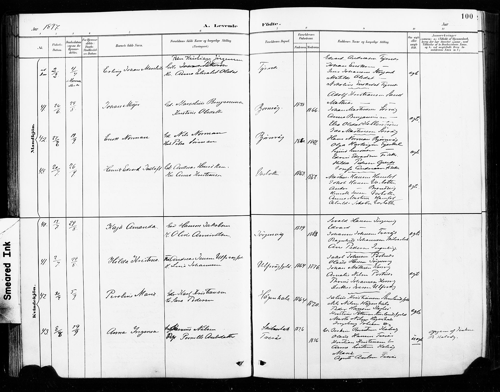 Ministerialprotokoller, klokkerbøker og fødselsregistre - Nordland, AV/SAT-A-1459/859/L0847: Parish register (official) no. 859A07, 1890-1899, p. 100