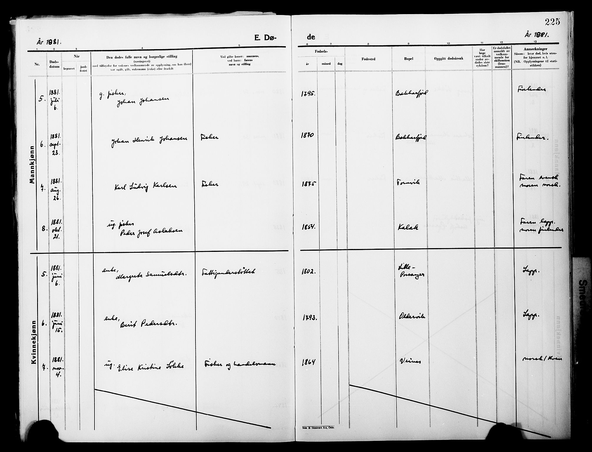 Lebesby sokneprestkontor, AV/SATØ-S-1353/H/Ha/L0004kirke: Parish register (official) no. 4, 1870-1902, p. 225