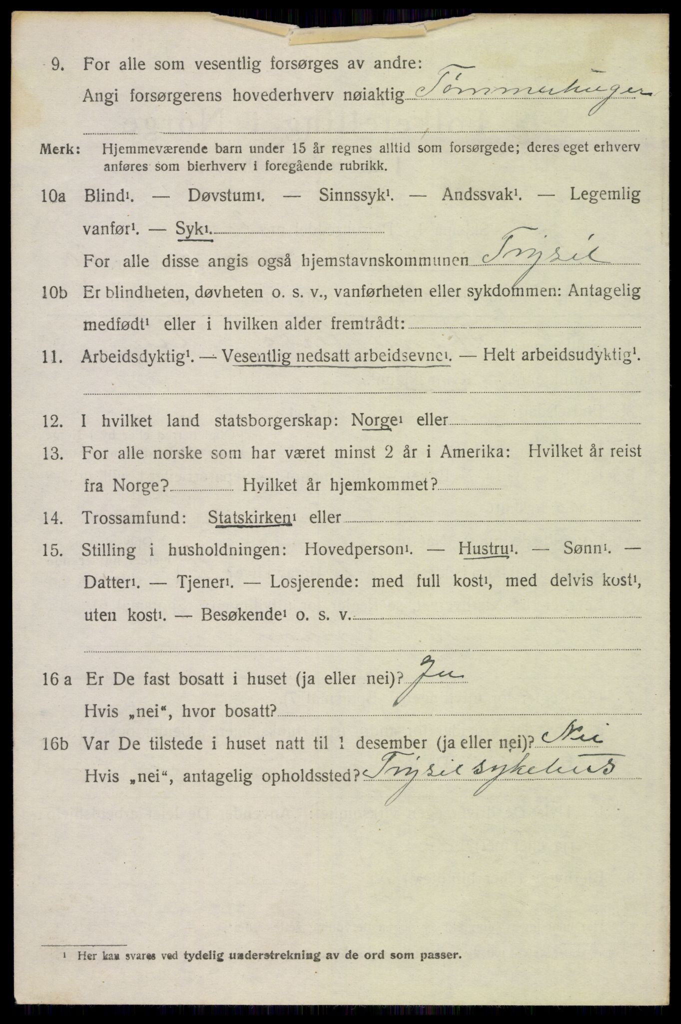 SAH, 1920 census for Trysil, 1920, p. 13042