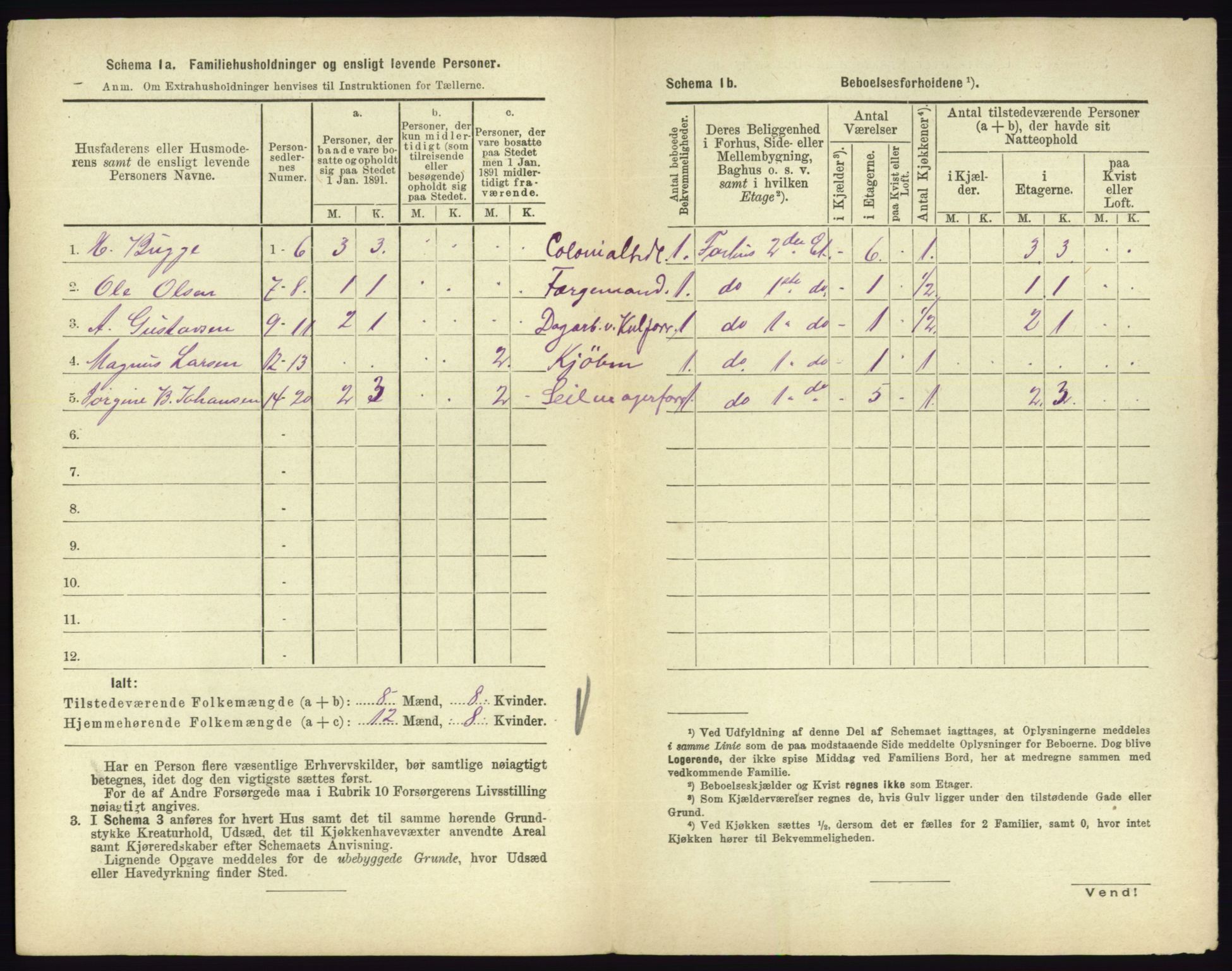 RA, 1891 census for 0705 Tønsberg, 1891, p. 115