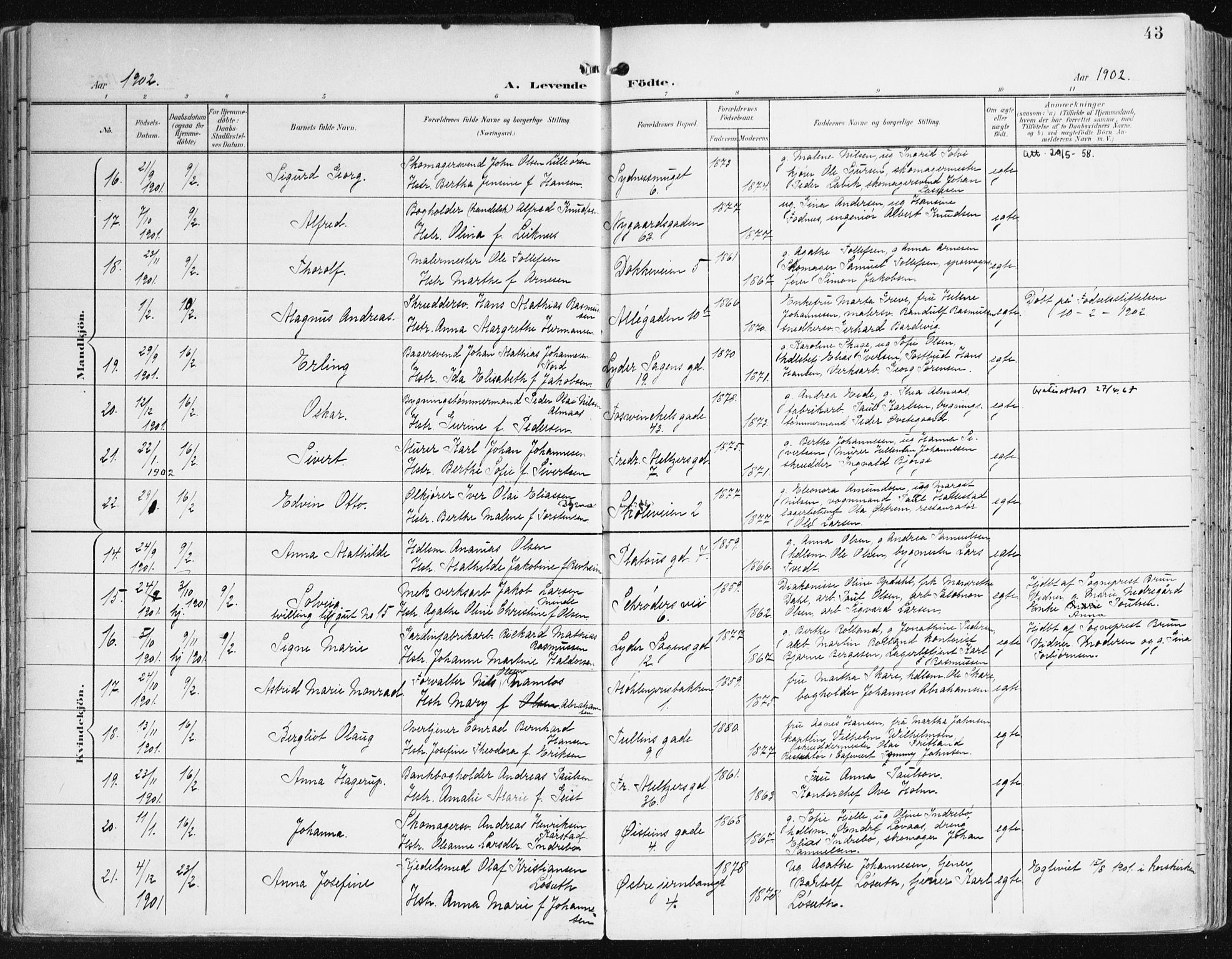 Johanneskirken sokneprestembete, AV/SAB-A-76001/H/Haa/L0002: Parish register (official) no. A 2, 1900-1912, p. 43