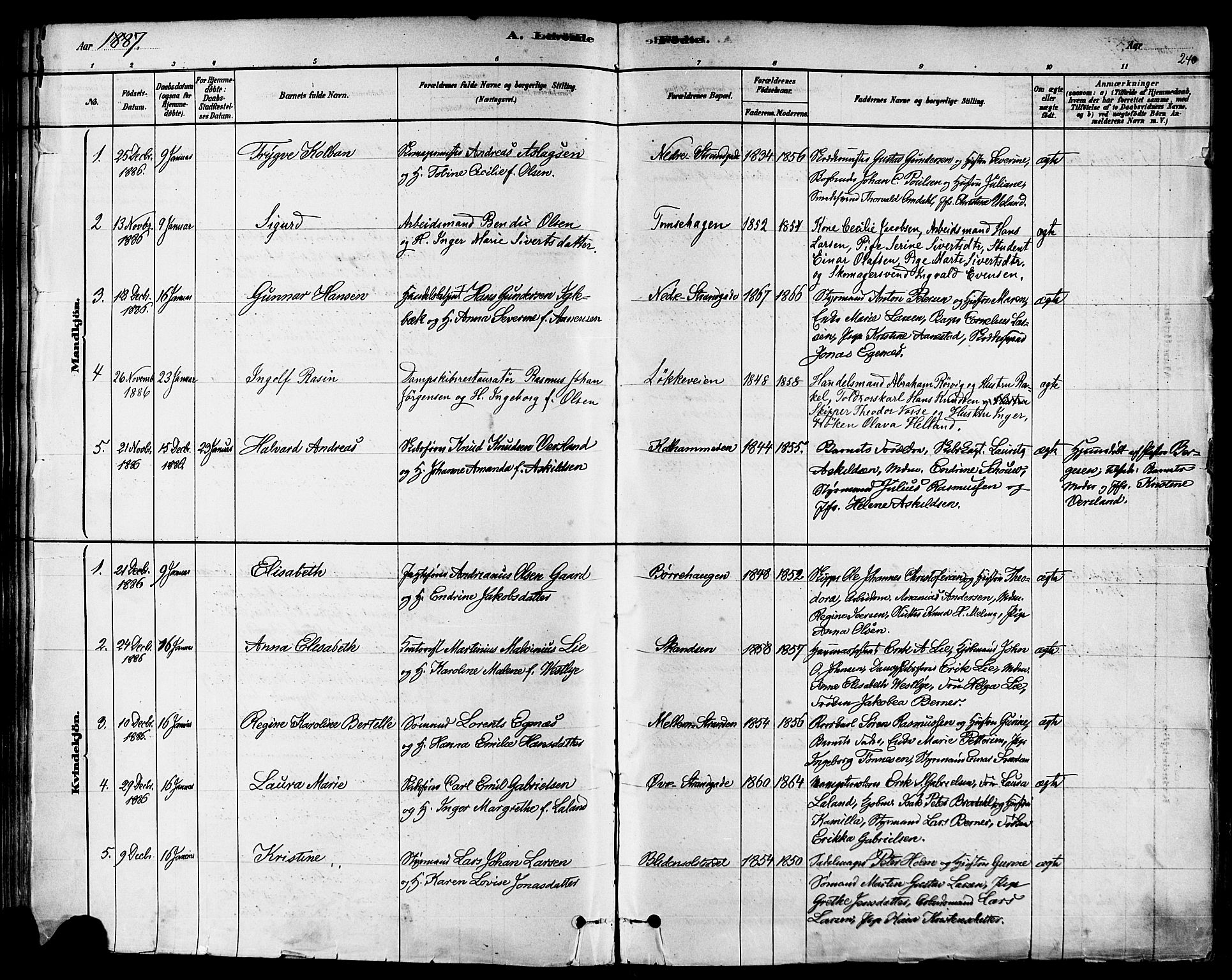 Domkirken sokneprestkontor, SAST/A-101812/001/30/30BA/L0026: Parish register (official) no. A 25, 1878-1889, p. 240
