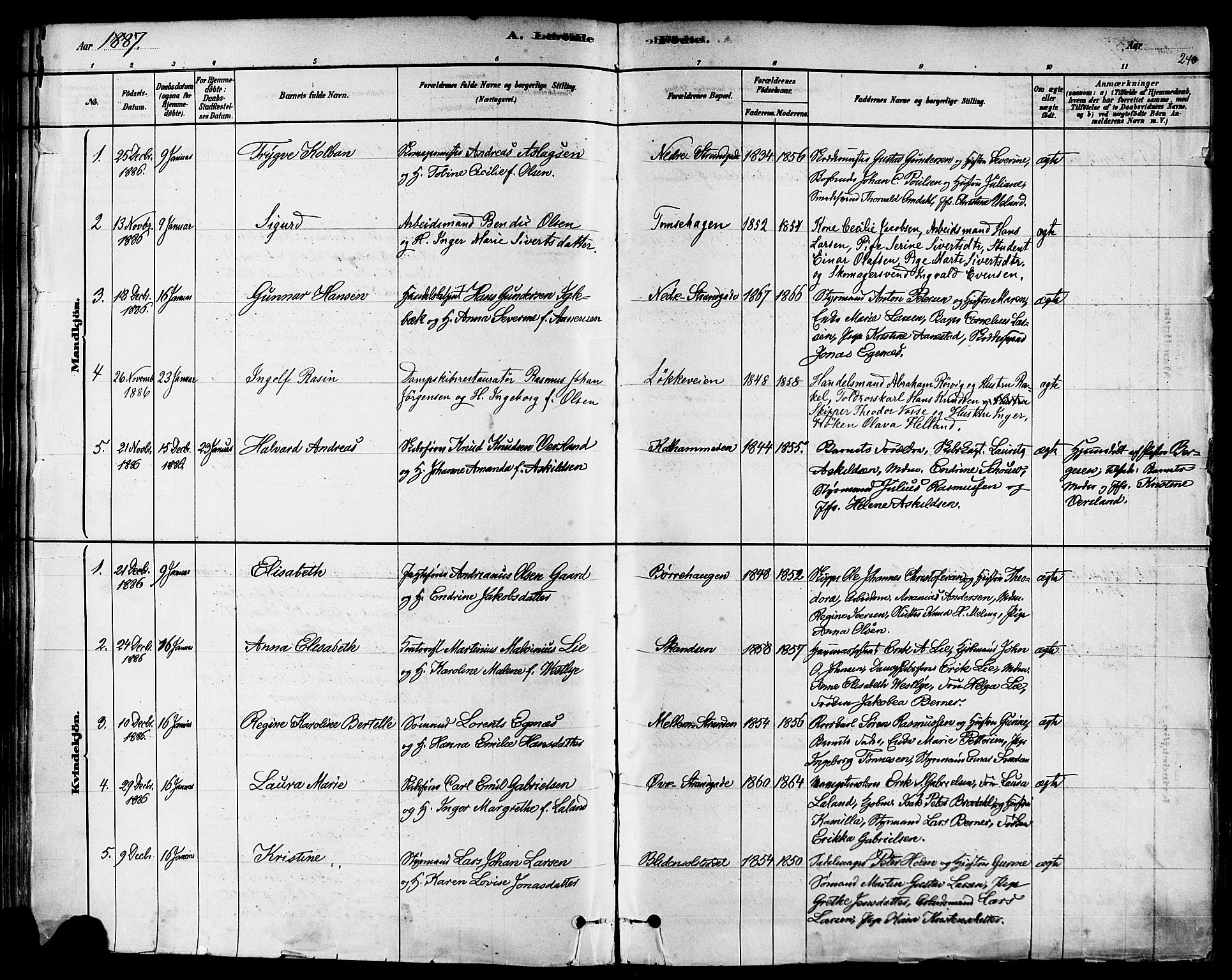 Domkirken sokneprestkontor, AV/SAST-A-101812/001/30/30BA/L0026: Parish register (official) no. A 25, 1878-1889, p. 240