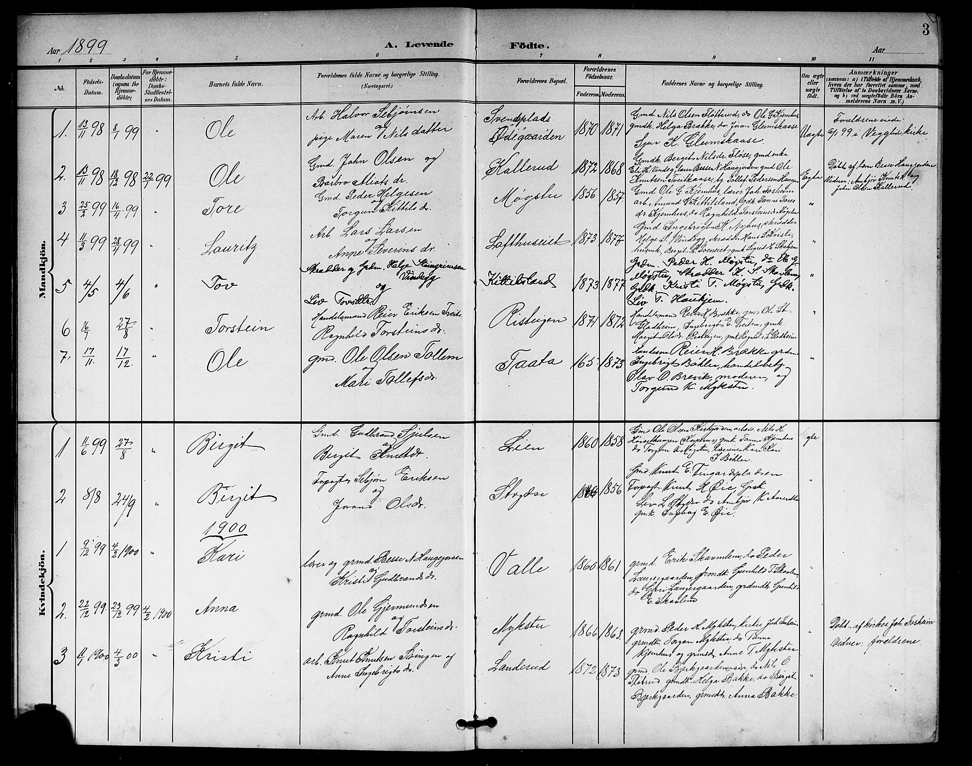 Rollag kirkebøker, SAKO/A-240/G/Gb/L0003: Parish register (copy) no. II 3, 1897-1919, p. 3