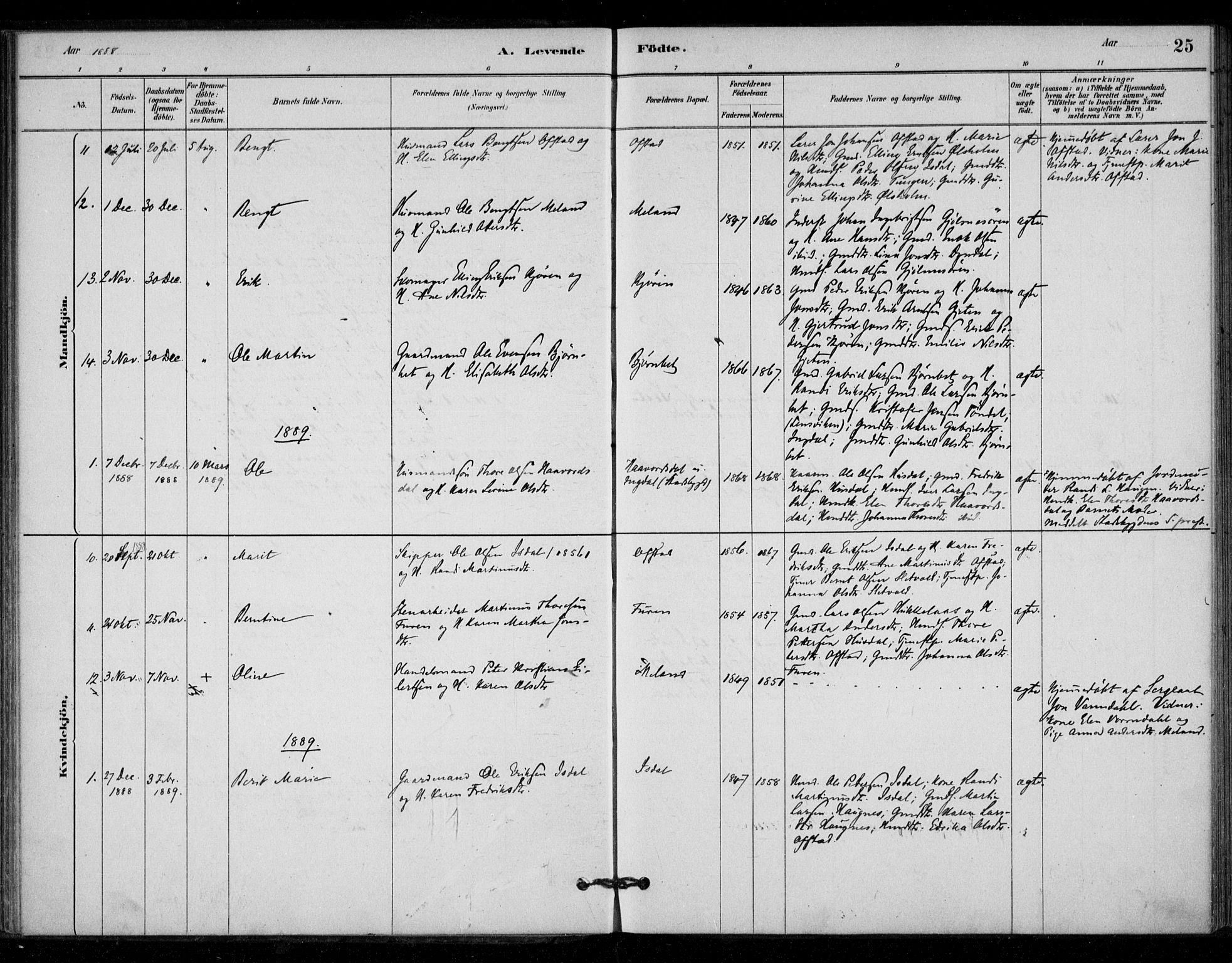 Ministerialprotokoller, klokkerbøker og fødselsregistre - Sør-Trøndelag, AV/SAT-A-1456/670/L0836: Parish register (official) no. 670A01, 1879-1904, p. 25