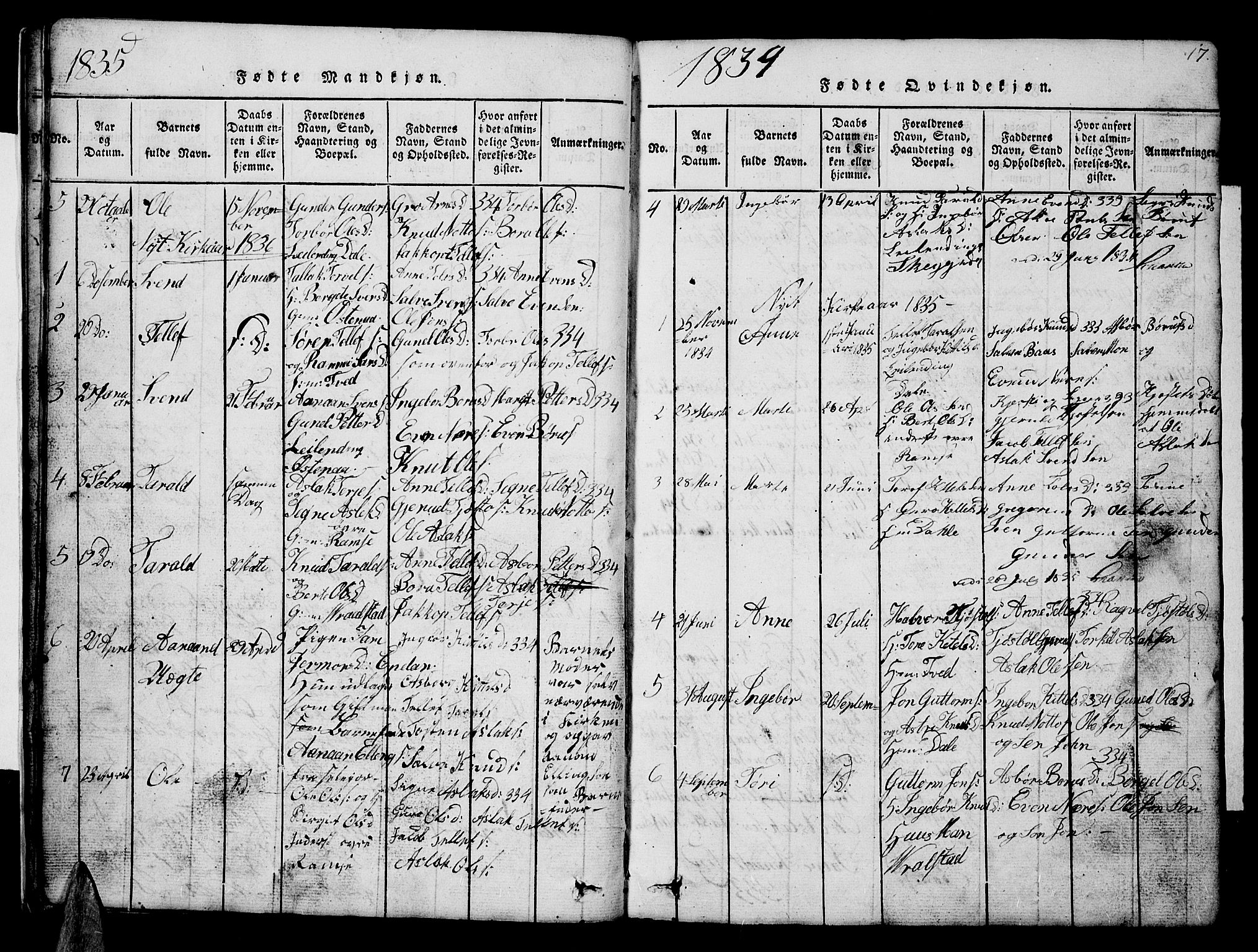 Åmli sokneprestkontor, AV/SAK-1111-0050/F/Fb/Fbb/L0001: Parish register (copy) no. B 1, 1816-1889, p. 17