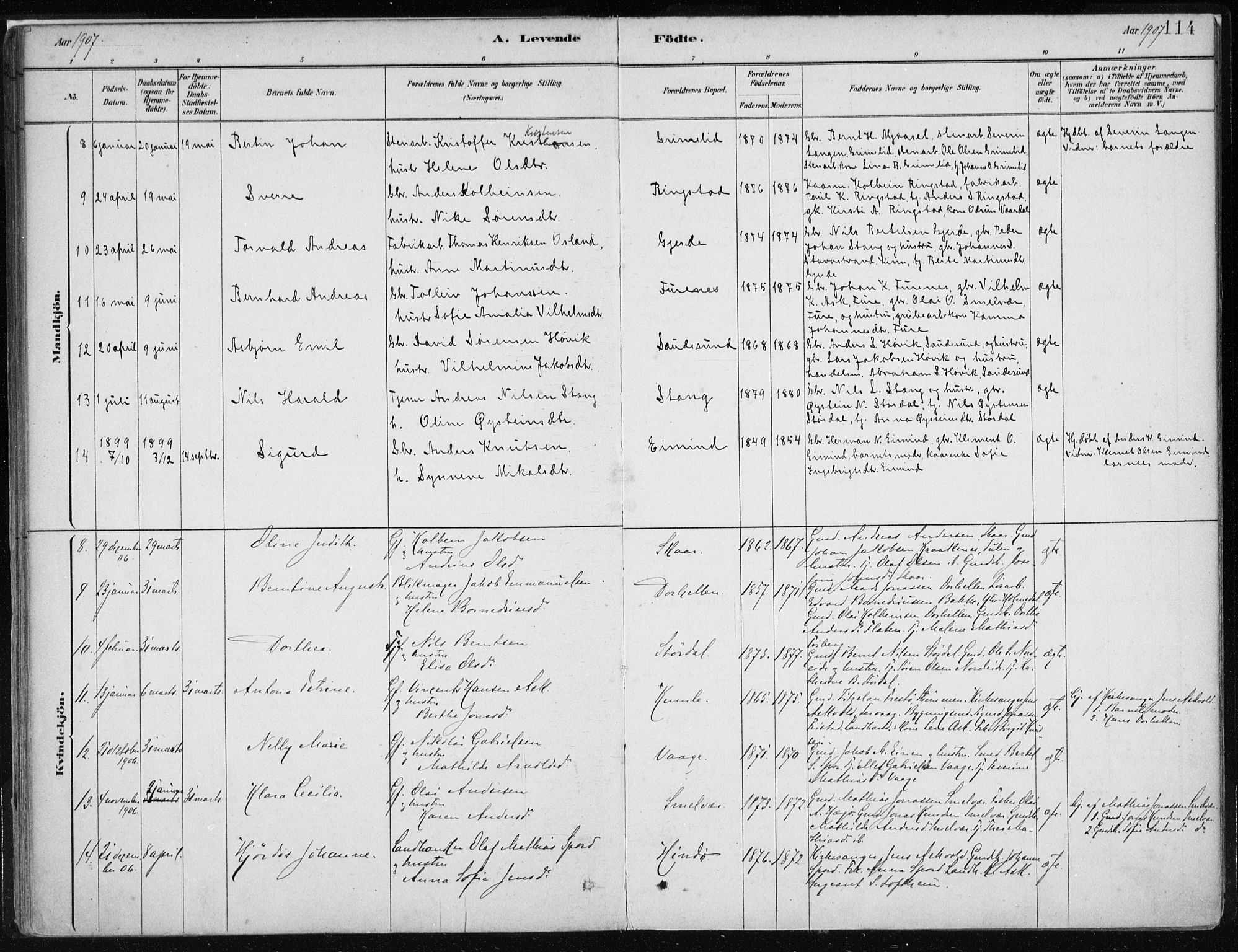 Askvoll sokneprestembete, AV/SAB-A-79501/H/Haa/Haab/L0002: Parish register (official) no. B 2, 1879-1909, p. 114