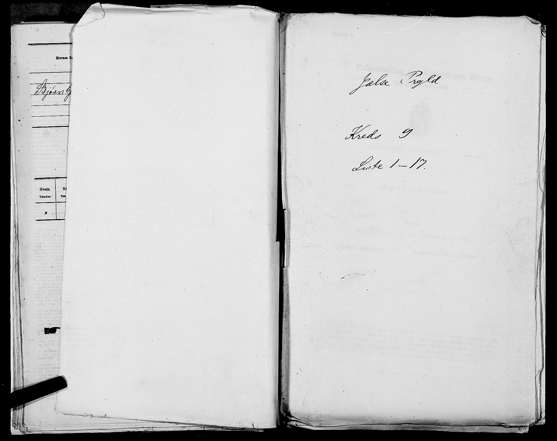 SAST, 1875 census for 1138P Jelsa, 1875, p. 810