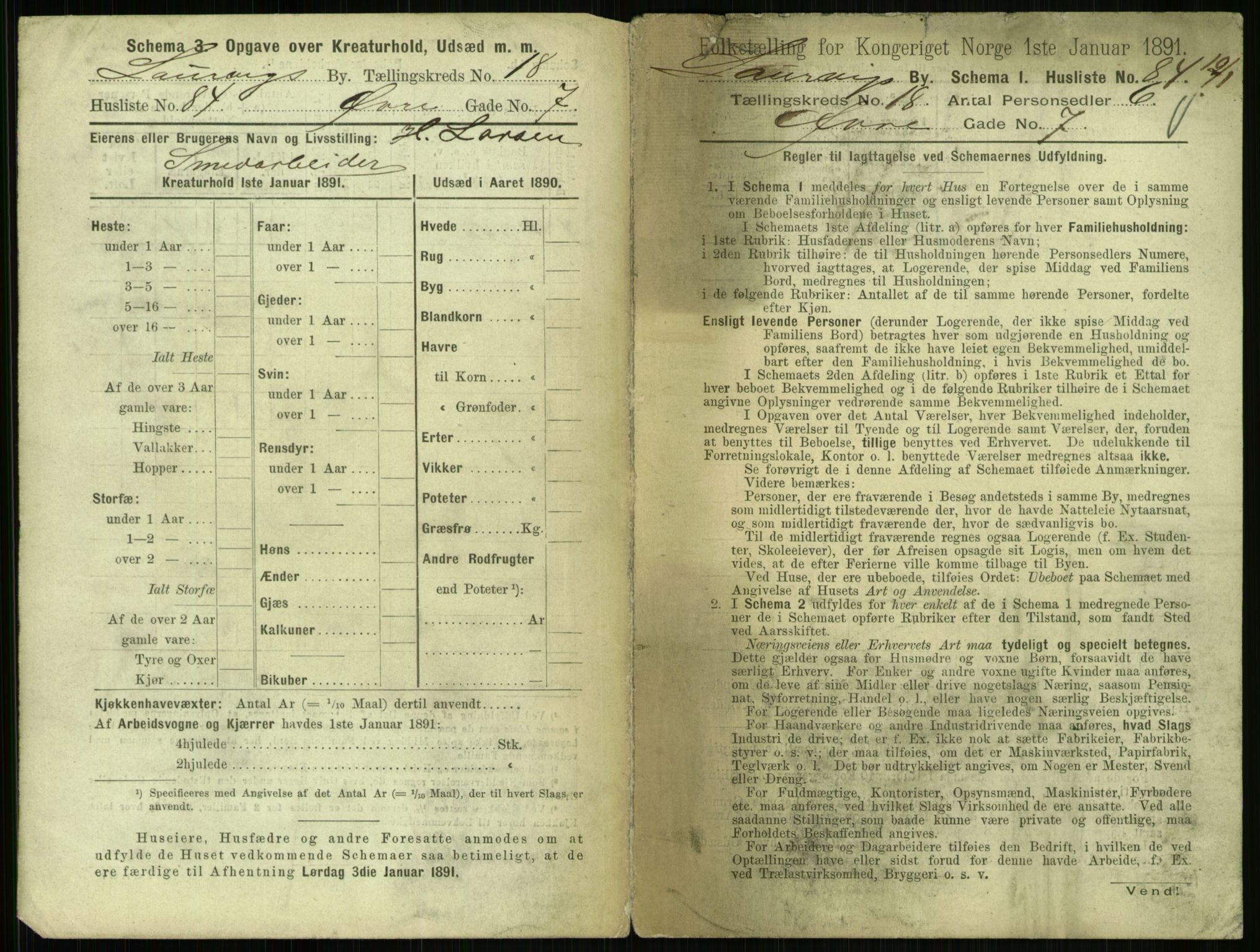 RA, 1891 census for 0707 Larvik, 1891, p. 2267