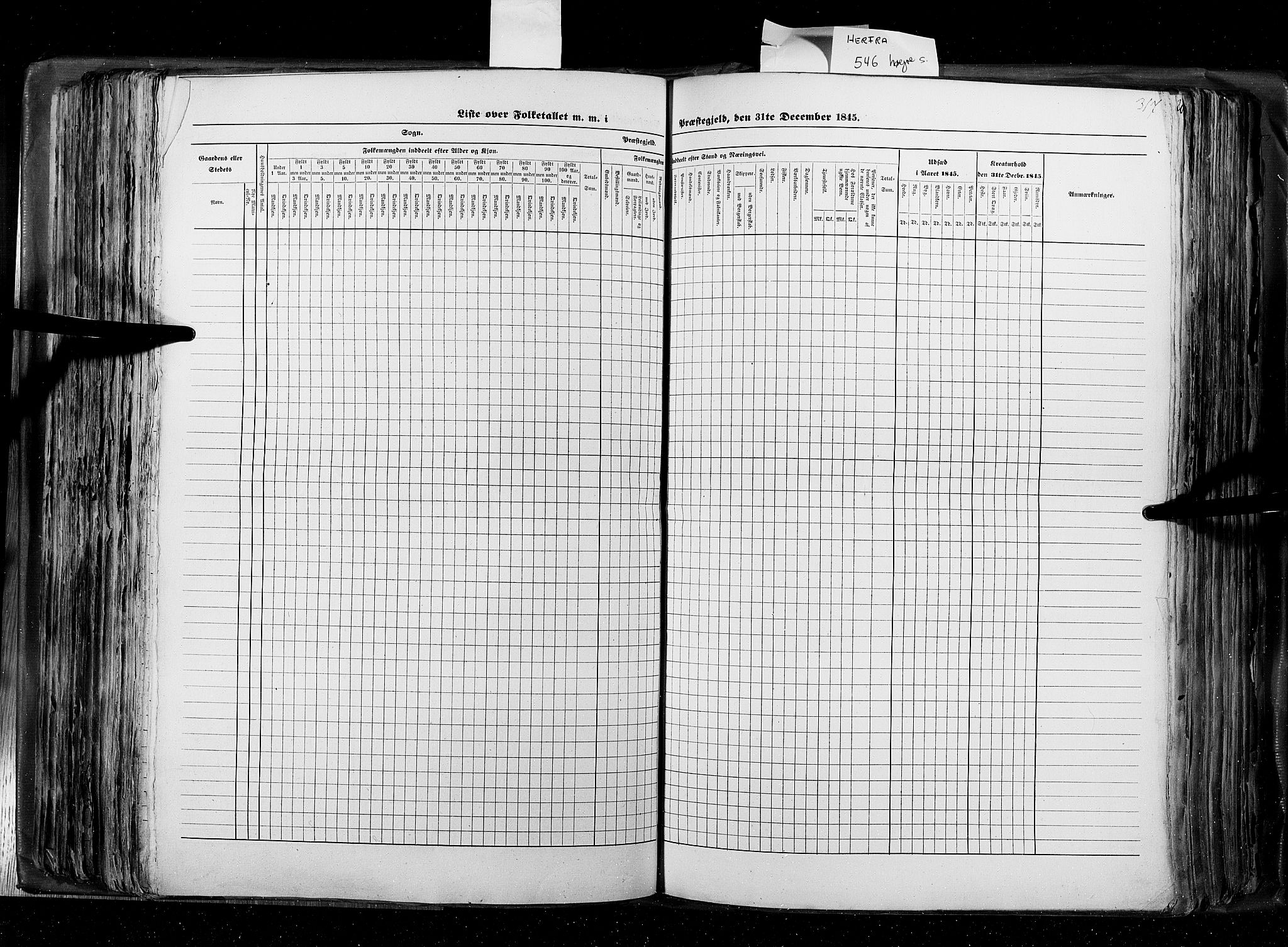 RA, Census 1845, vol. 8: Romsdal amt og Søndre Trondhjems amt, 1845, p. 317