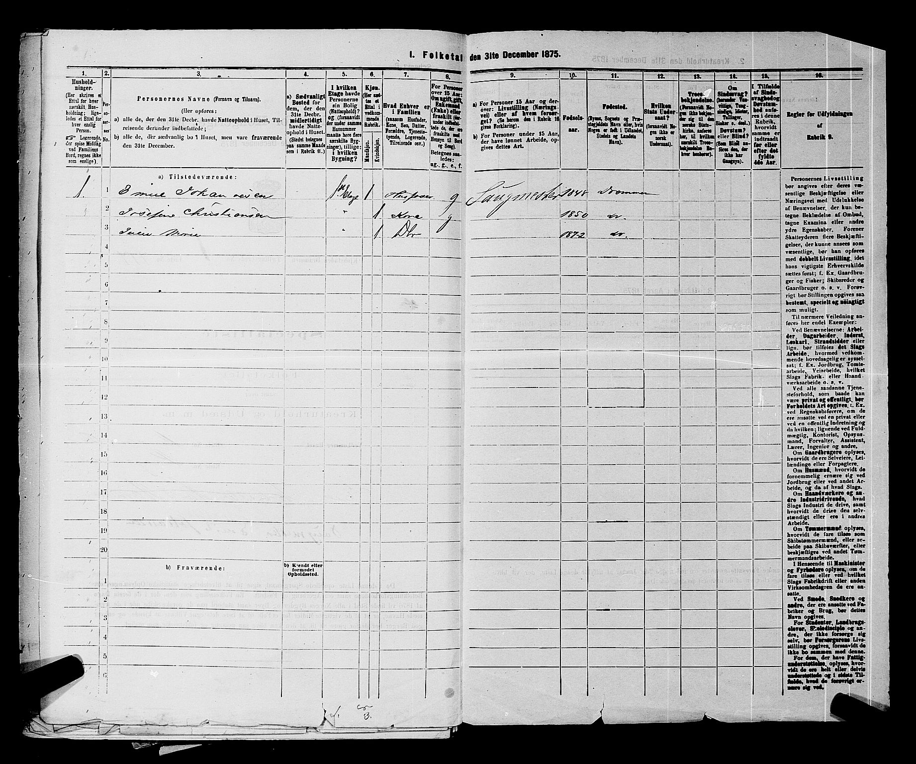 SAKO, 1875 census for 0602 Drammen, 1875, p. 175