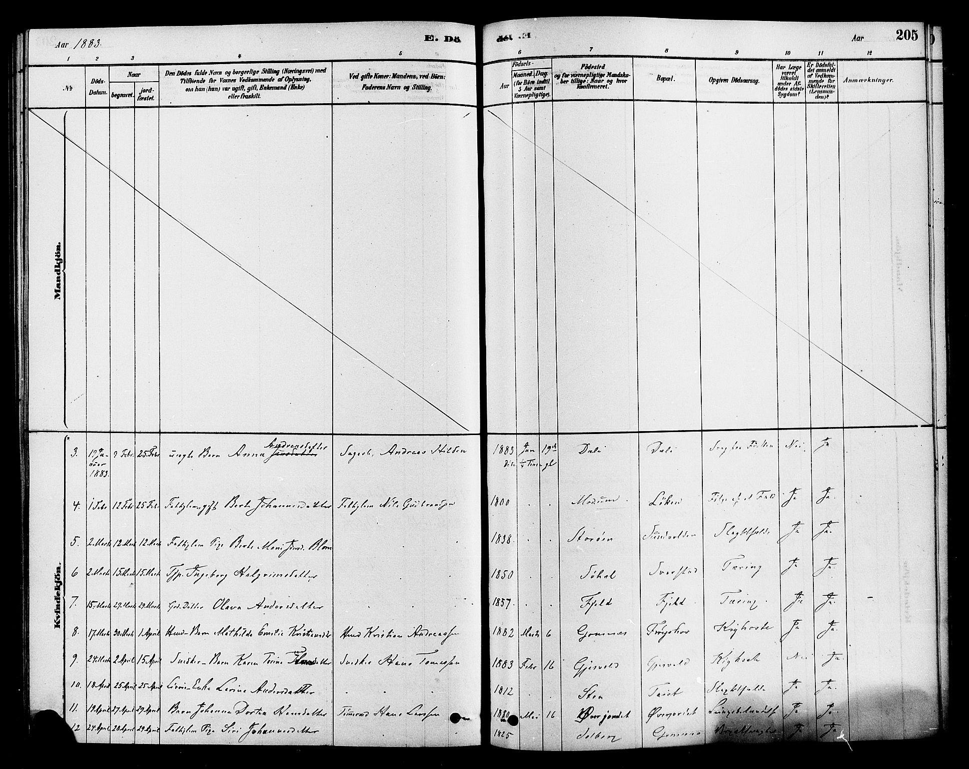 Hole kirkebøker, AV/SAKO-A-228/F/Fa/L0008: Parish register (official) no. I 8, 1878-1891, p. 205