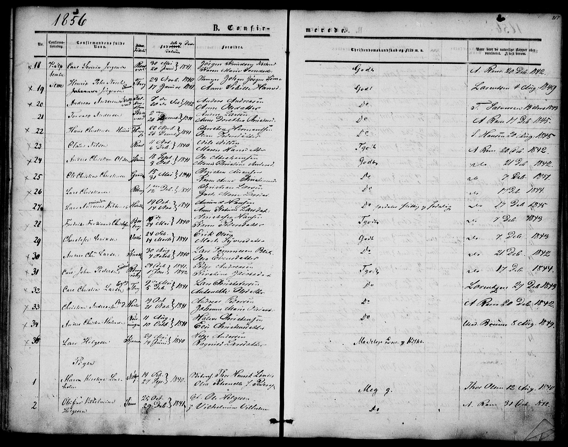 Sem kirkebøker, AV/SAKO-A-5/F/Fa/L0007: Parish register (official) no. I 7, 1856-1865, p. 217