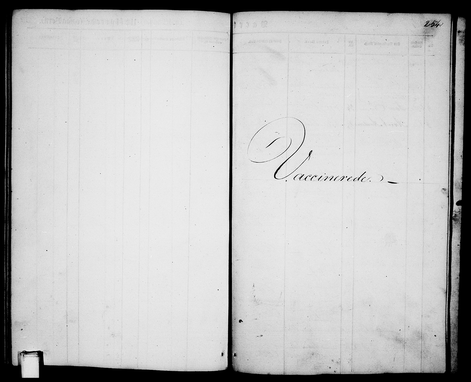 Porsgrunn kirkebøker , SAKO/A-104/G/Ga/L0002: Parish register (copy) no. I 2, 1847-1877, p. 254