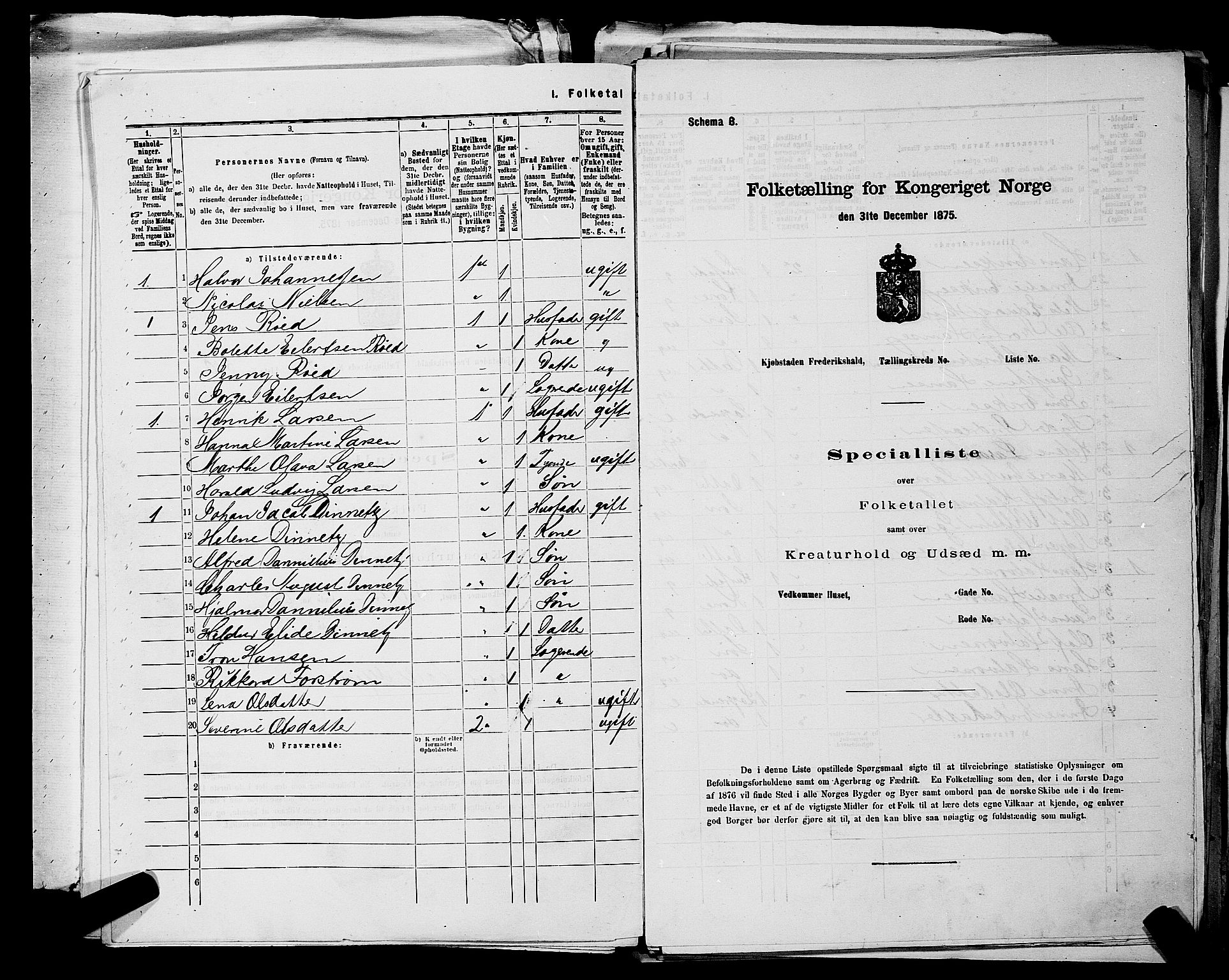 RA, 1875 census for 0101P Fredrikshald, 1875, p. 1132