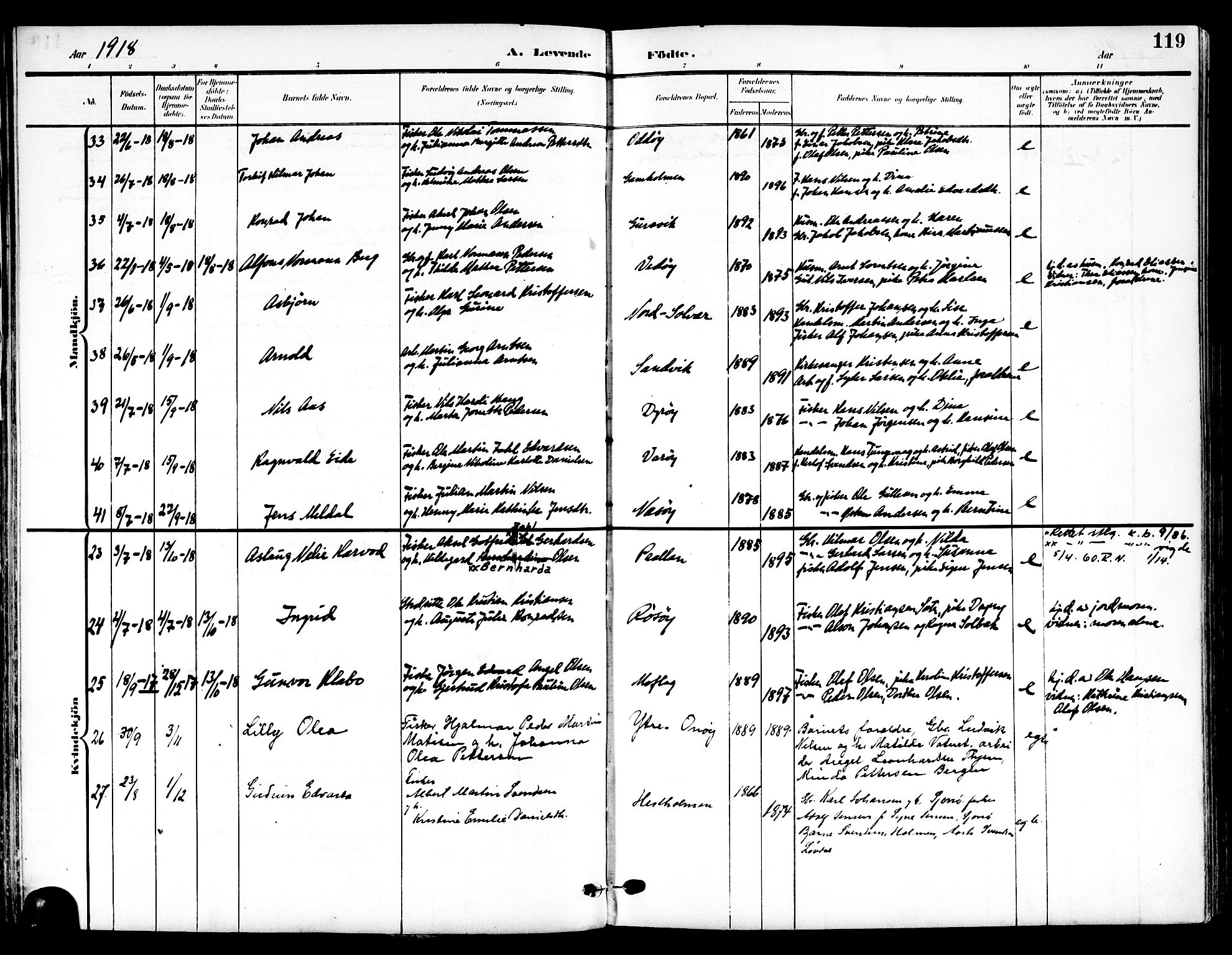 Ministerialprotokoller, klokkerbøker og fødselsregistre - Nordland, AV/SAT-A-1459/839/L0569: Parish register (official) no. 839A06, 1903-1922, p. 119