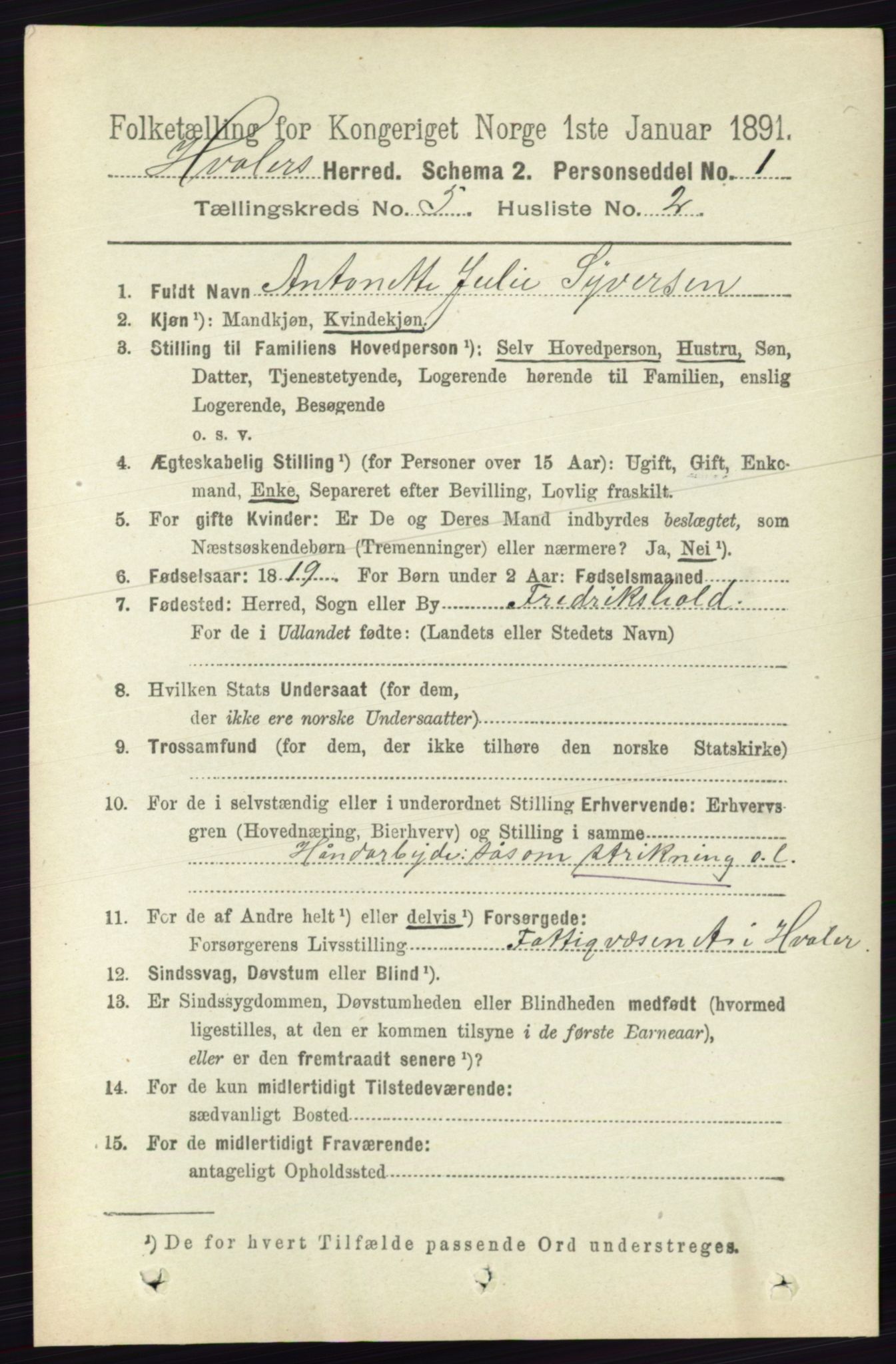 RA, 1891 census for 0111 Hvaler, 1891, p. 3193