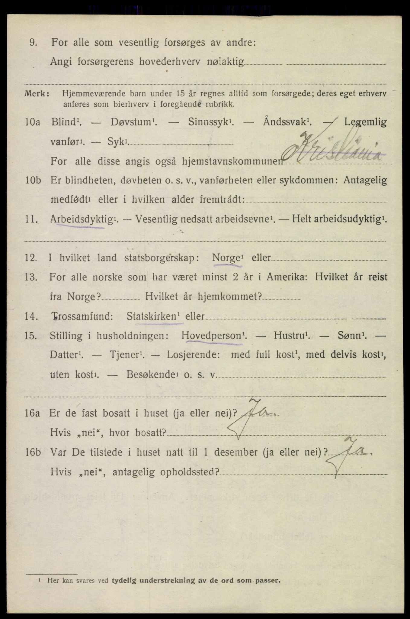 SAH, 1920 census for Åsnes, 1920, p. 13415