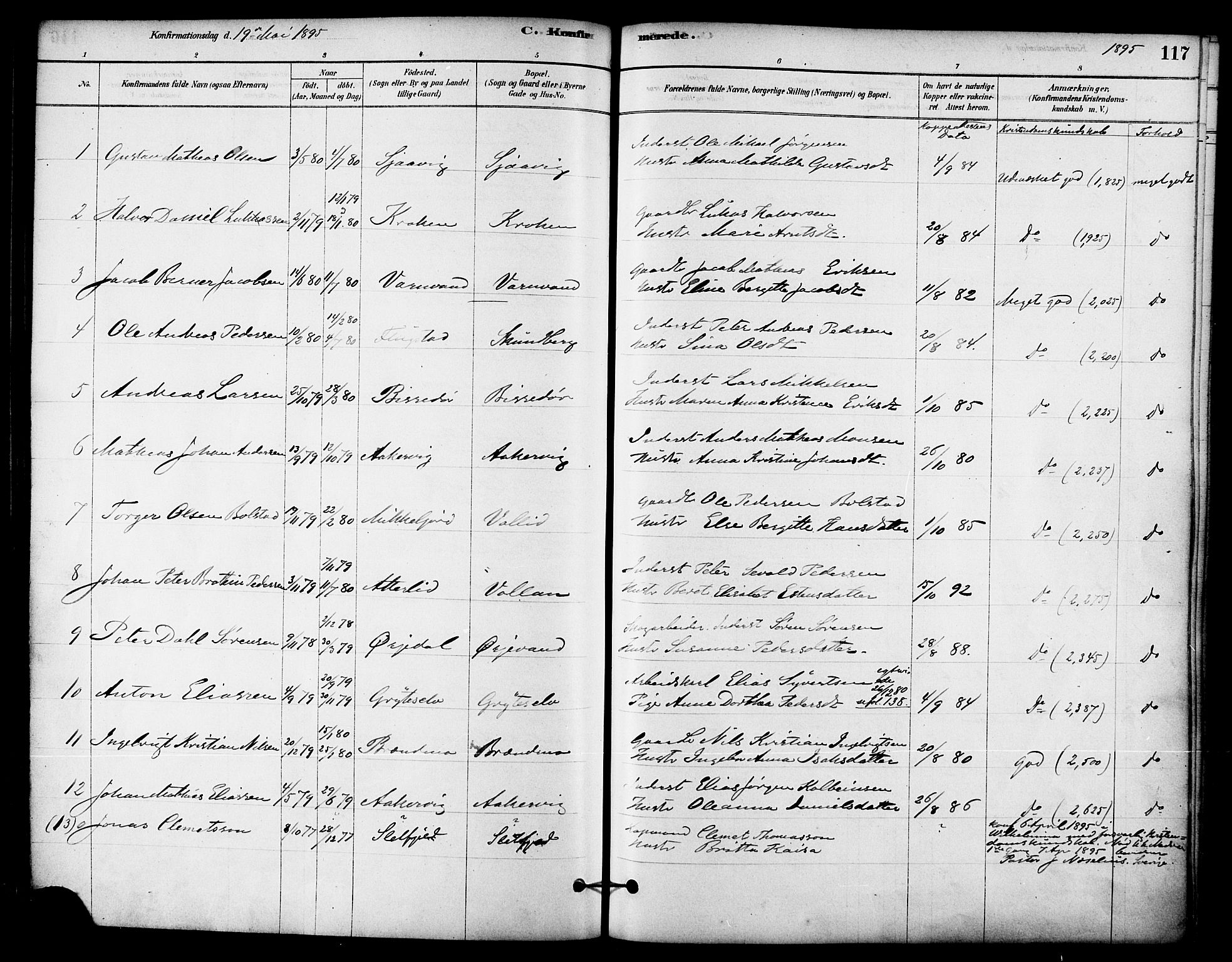 Ministerialprotokoller, klokkerbøker og fødselsregistre - Nordland, AV/SAT-A-1459/823/L0325: Parish register (official) no. 823A02, 1878-1898, p. 117