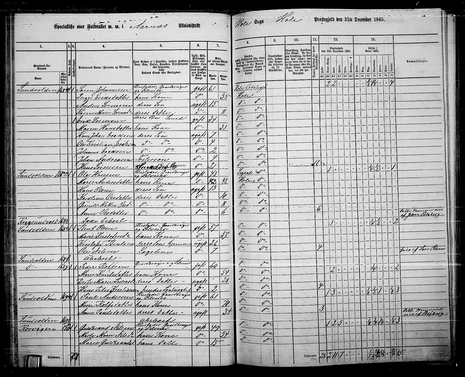 RA, 1865 census for Hole, 1865, p. 56