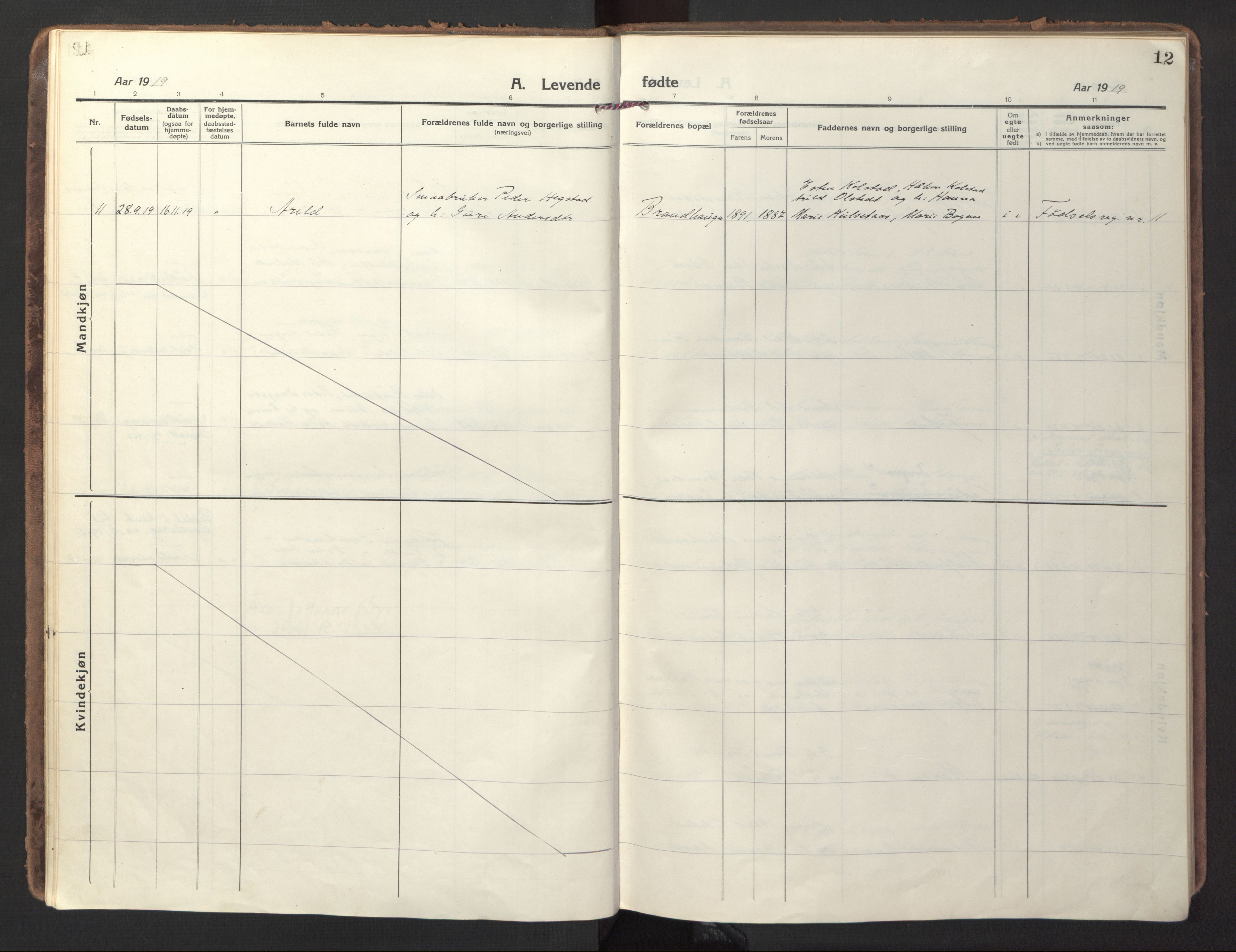 Ministerialprotokoller, klokkerbøker og fødselsregistre - Sør-Trøndelag, SAT/A-1456/618/L0449: Parish register (official) no. 618A12, 1917-1924, p. 12