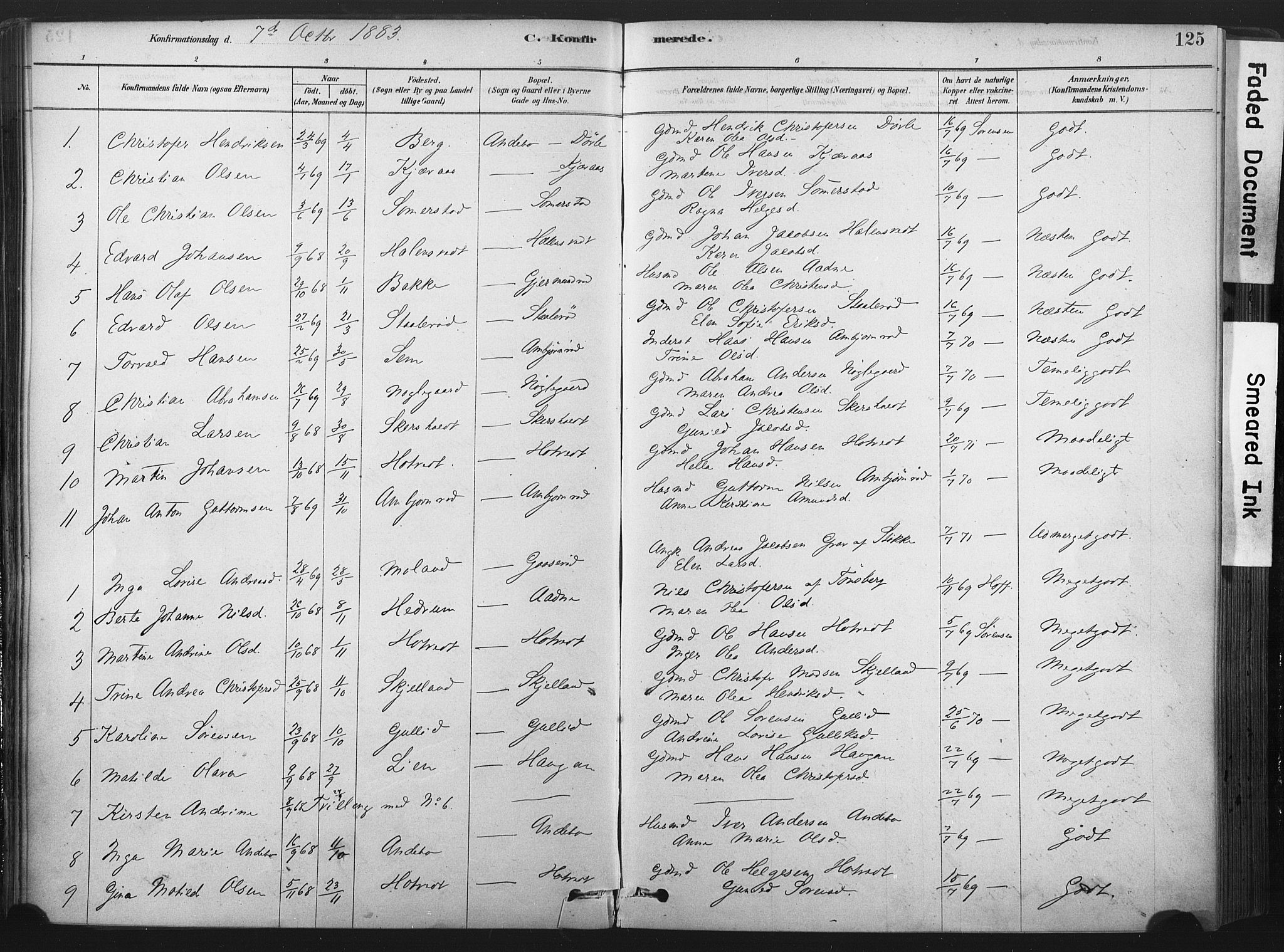 Andebu kirkebøker, SAKO/A-336/F/Fa/L0007: Parish register (official) no. 7, 1878-1899, p. 125