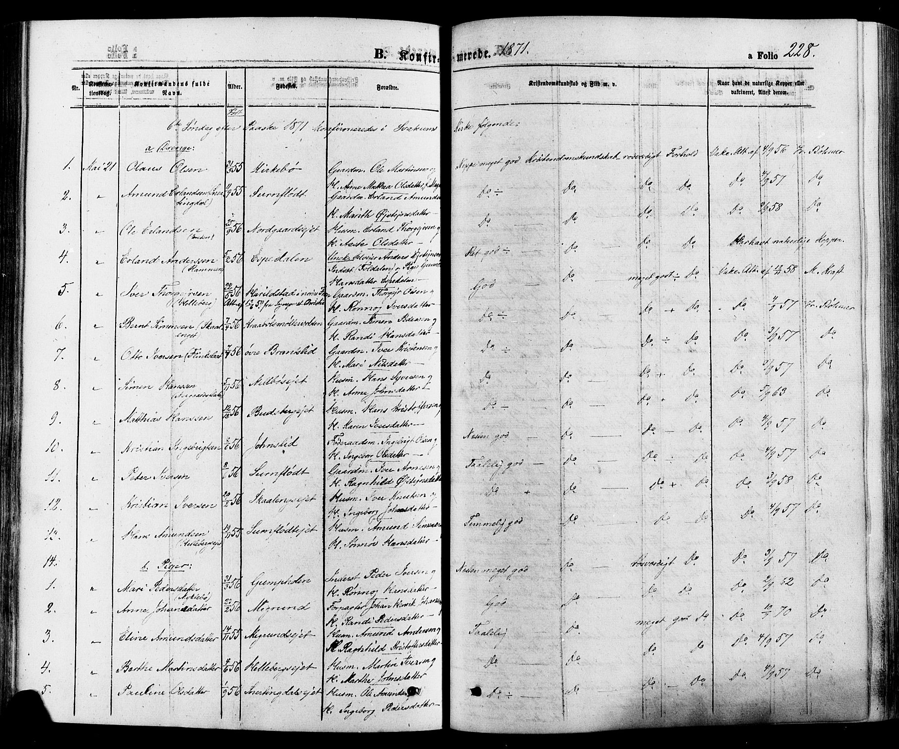 Gausdal prestekontor, AV/SAH-PREST-090/H/Ha/Haa/L0010: Parish register (official) no. 10, 1867-1886, p. 228