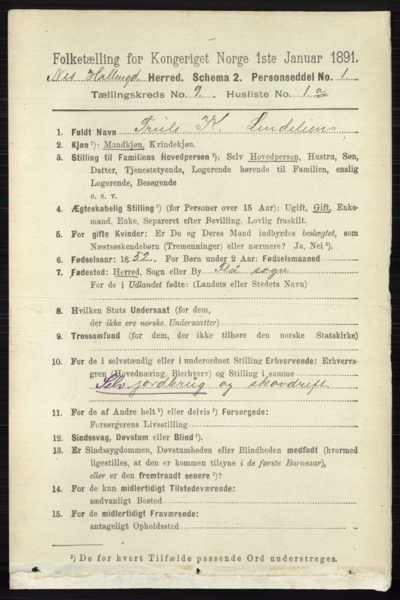 RA, 1891 census for 0616 Nes, 1891, p. 4337