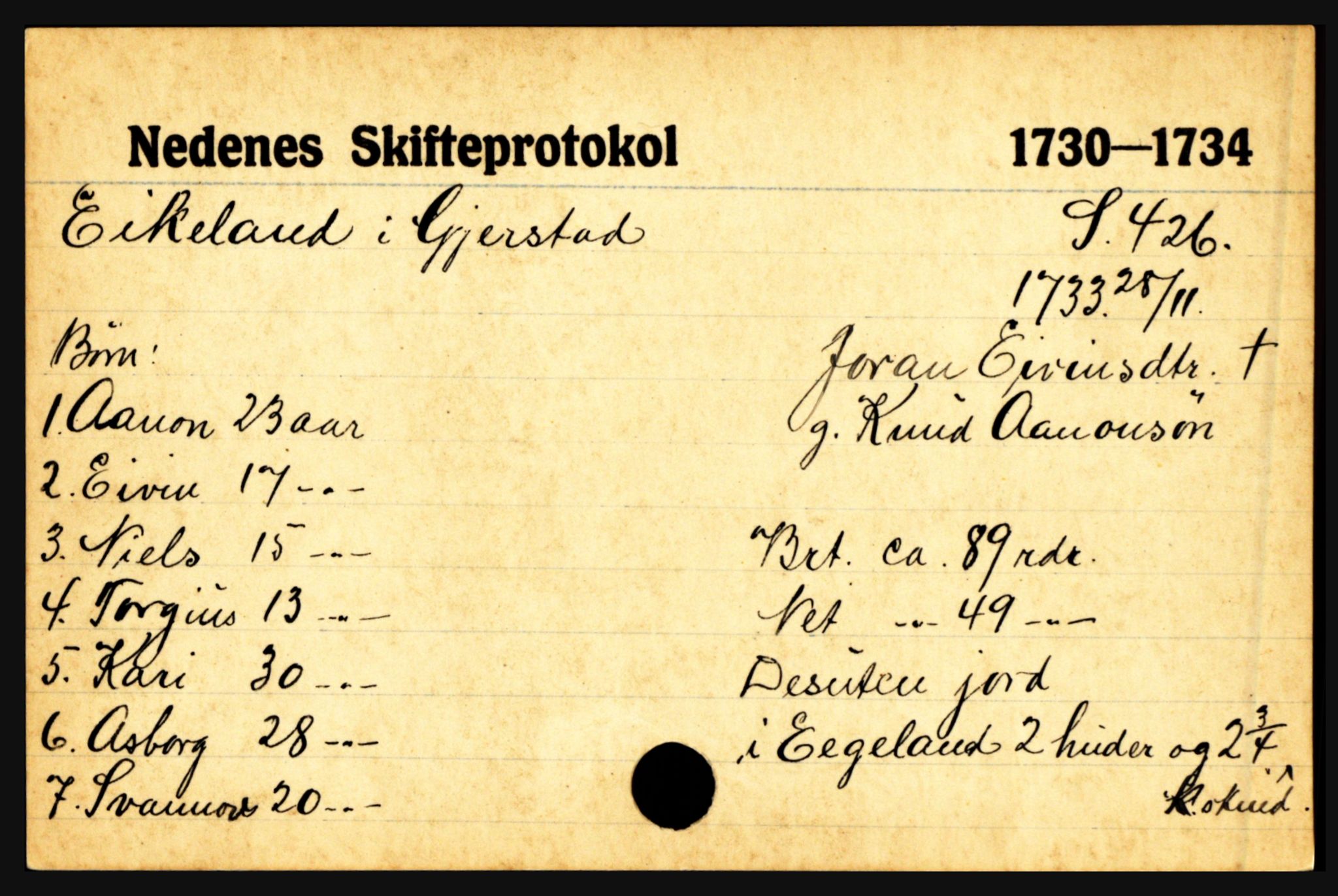 Nedenes sorenskriveri før 1824, AV/SAK-1221-0007/H, p. 5889