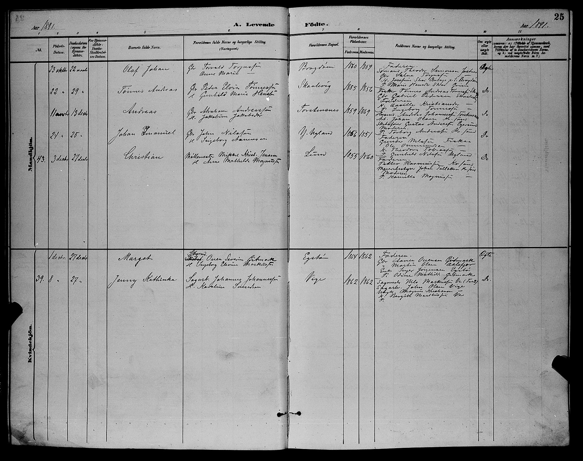 Oddernes sokneprestkontor, AV/SAK-1111-0033/F/Fb/Fba/L0008: Parish register (copy) no. B 8, 1887-1898, p. 25