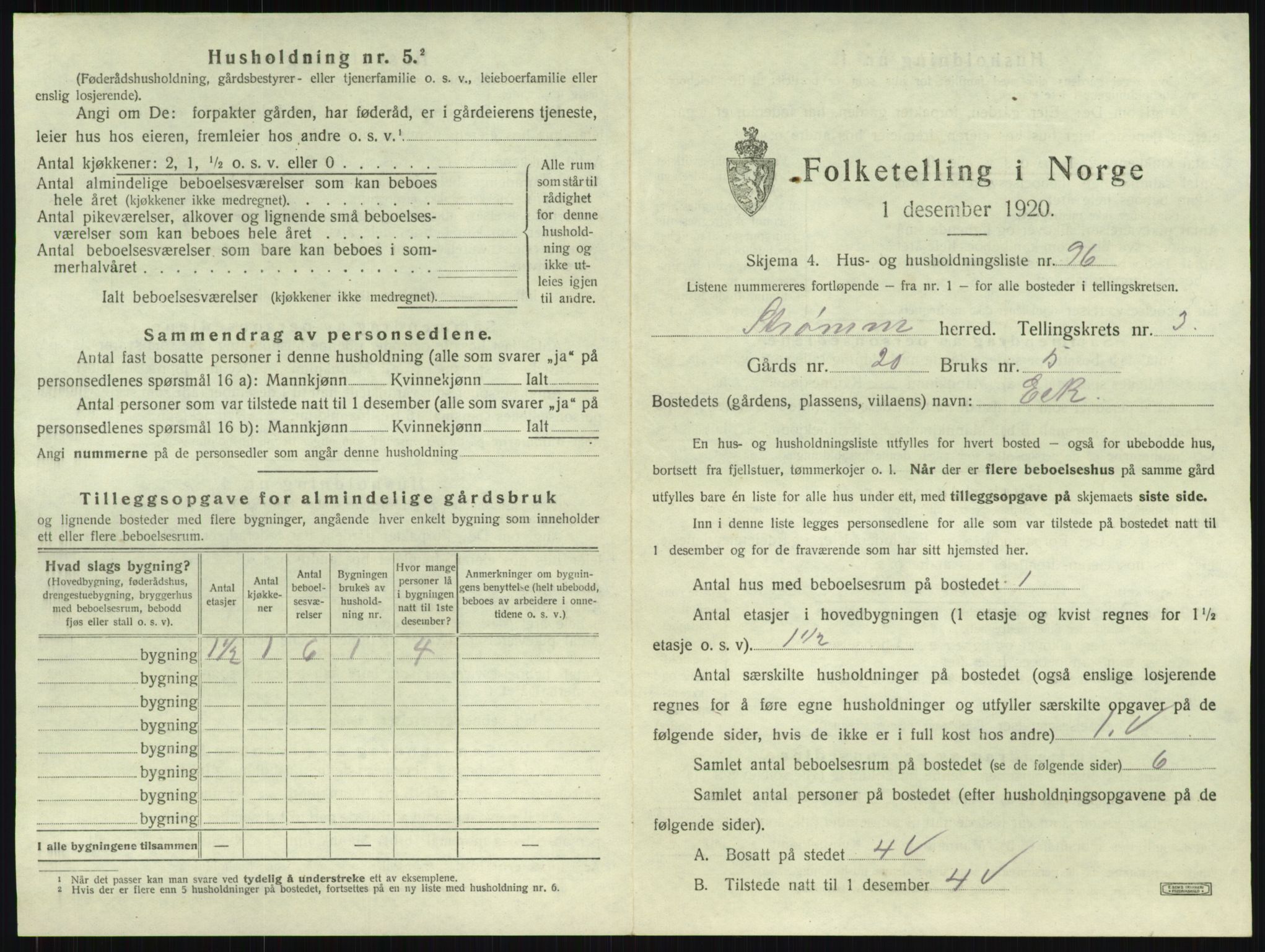 SAKO, 1920 census for Strømm, 1920, p. 420