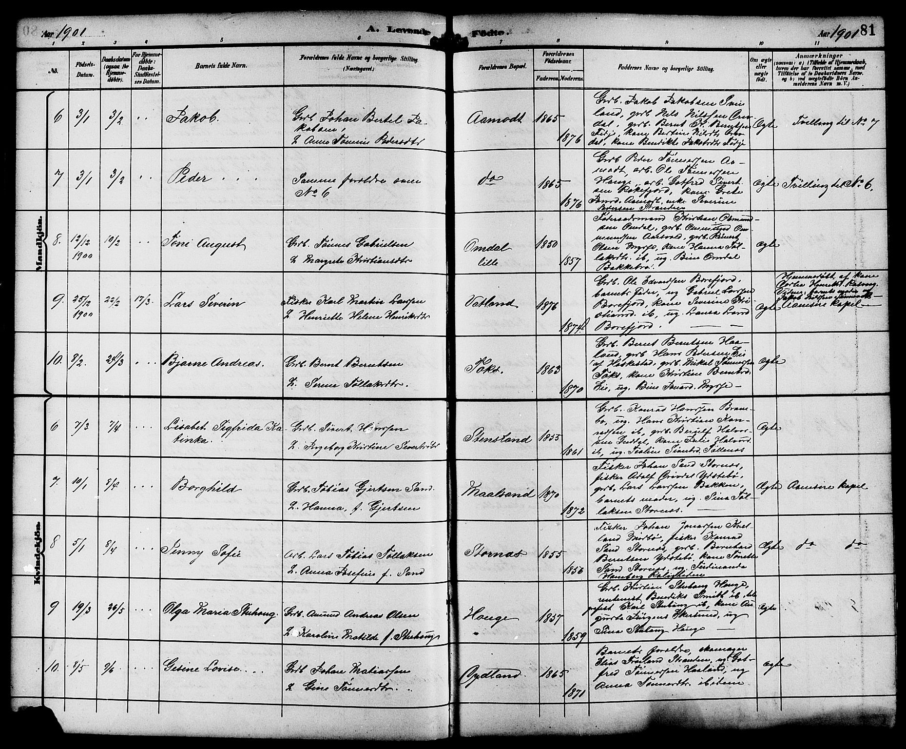 Sokndal sokneprestkontor, AV/SAST-A-101808: Parish register (copy) no. B 6, 1892-1907, p. 81