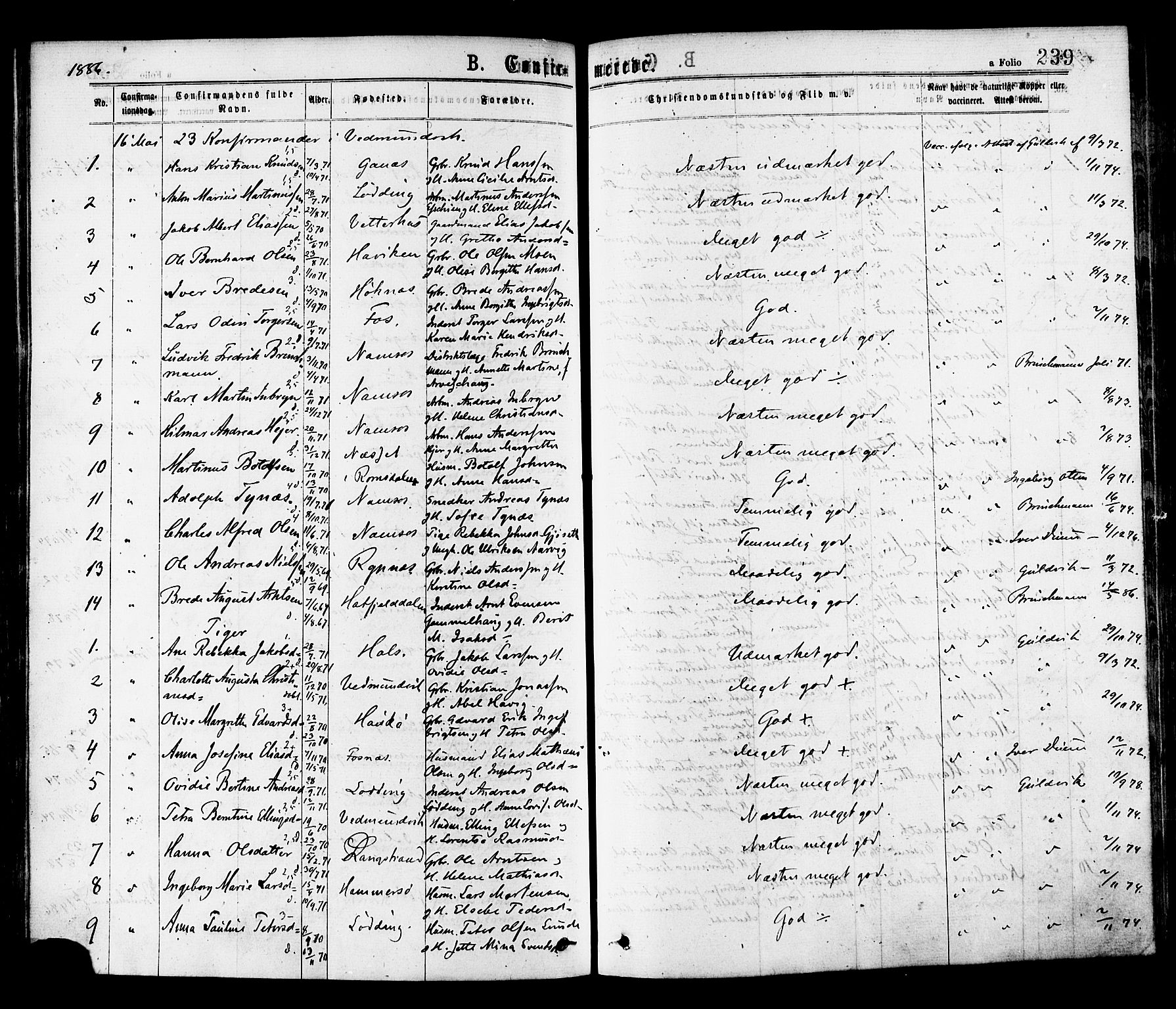 Ministerialprotokoller, klokkerbøker og fødselsregistre - Nord-Trøndelag, SAT/A-1458/768/L0572: Parish register (official) no. 768A07, 1874-1886, p. 239