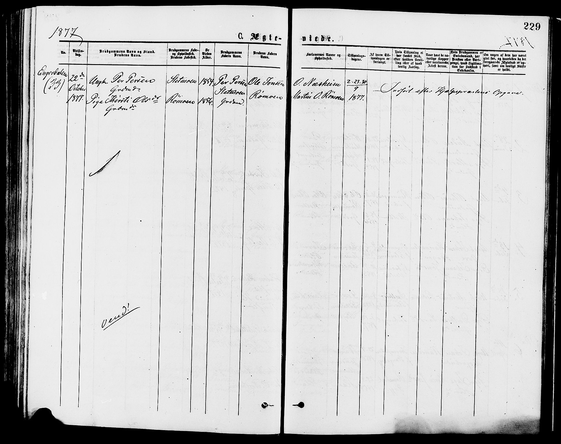 Trysil prestekontor, AV/SAH-PREST-046/H/Ha/Haa/L0007: Parish register (official) no. 7, 1874-1880, p. 229