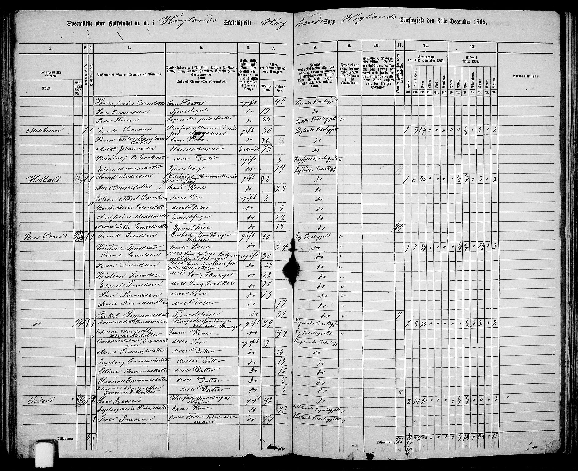 RA, 1865 census for Høyland, 1865, p. 70