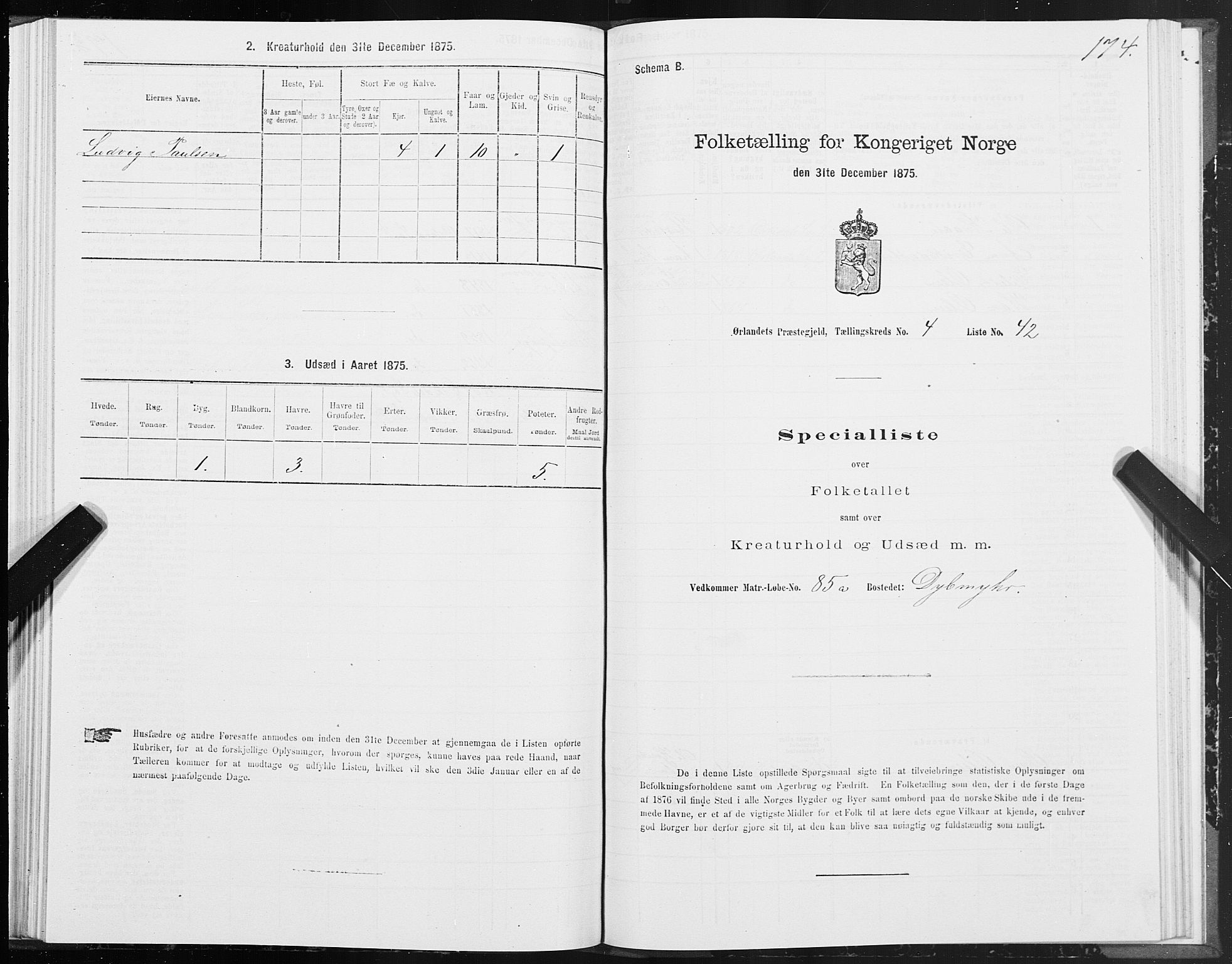 SAT, 1875 census for 1621P Ørland, 1875, p. 2174