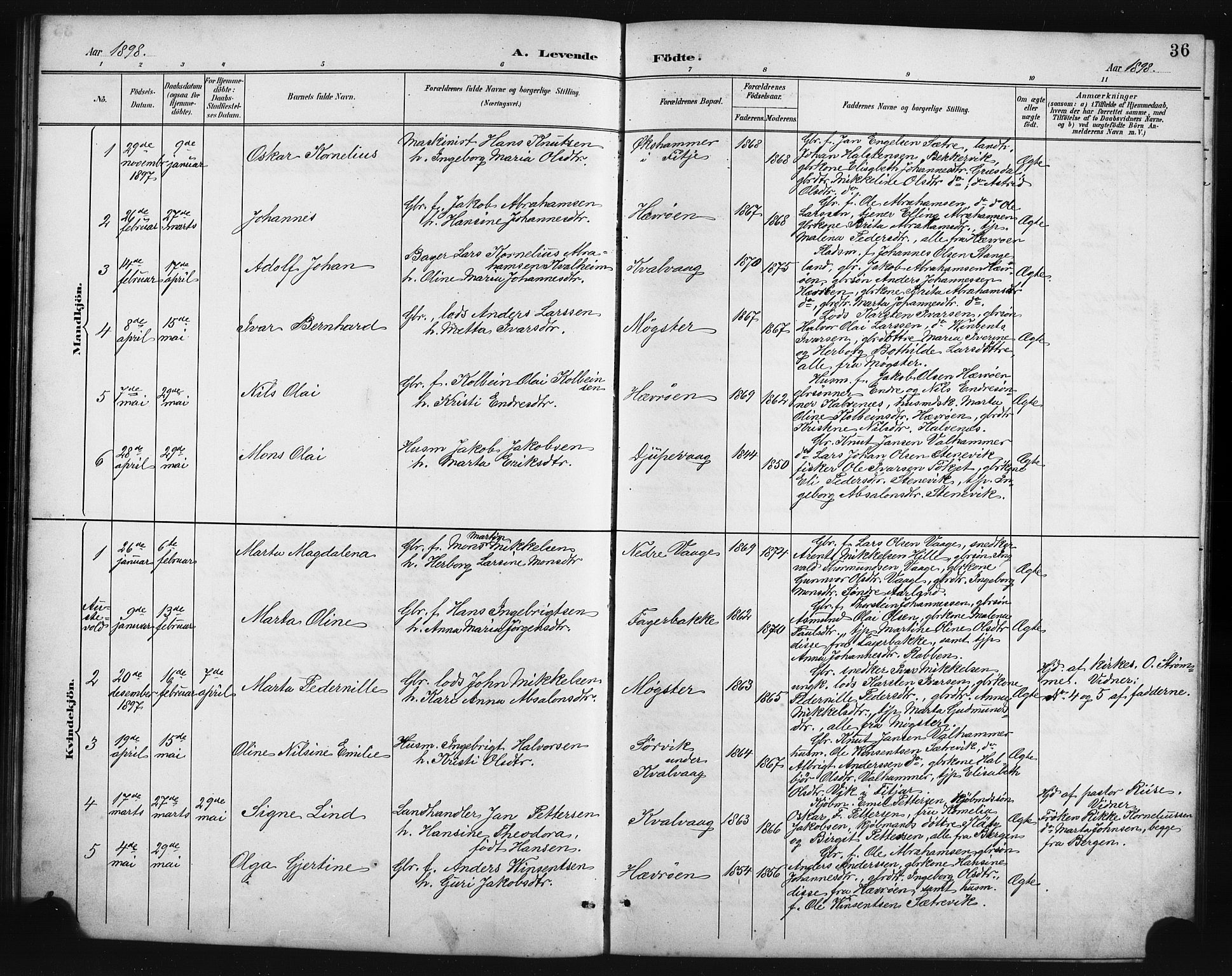 Austevoll Sokneprestembete, SAB/A-74201/H/Hab: Parish register (copy) no. B 4, 1889-1901, p. 36