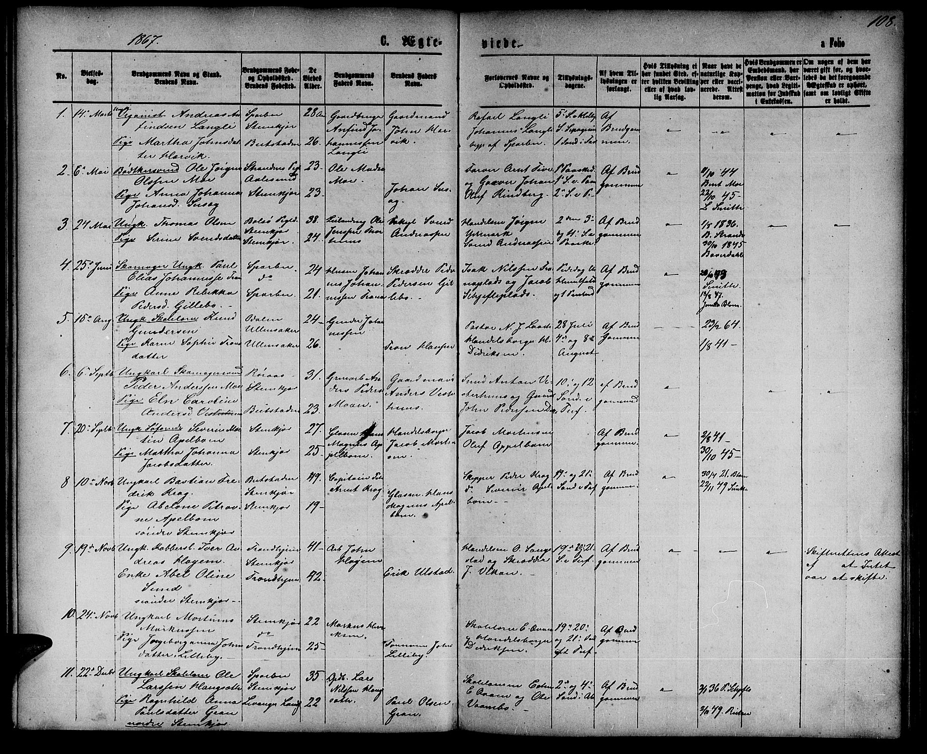 Ministerialprotokoller, klokkerbøker og fødselsregistre - Nord-Trøndelag, SAT/A-1458/739/L0373: Parish register (copy) no. 739C01, 1865-1882, p. 108