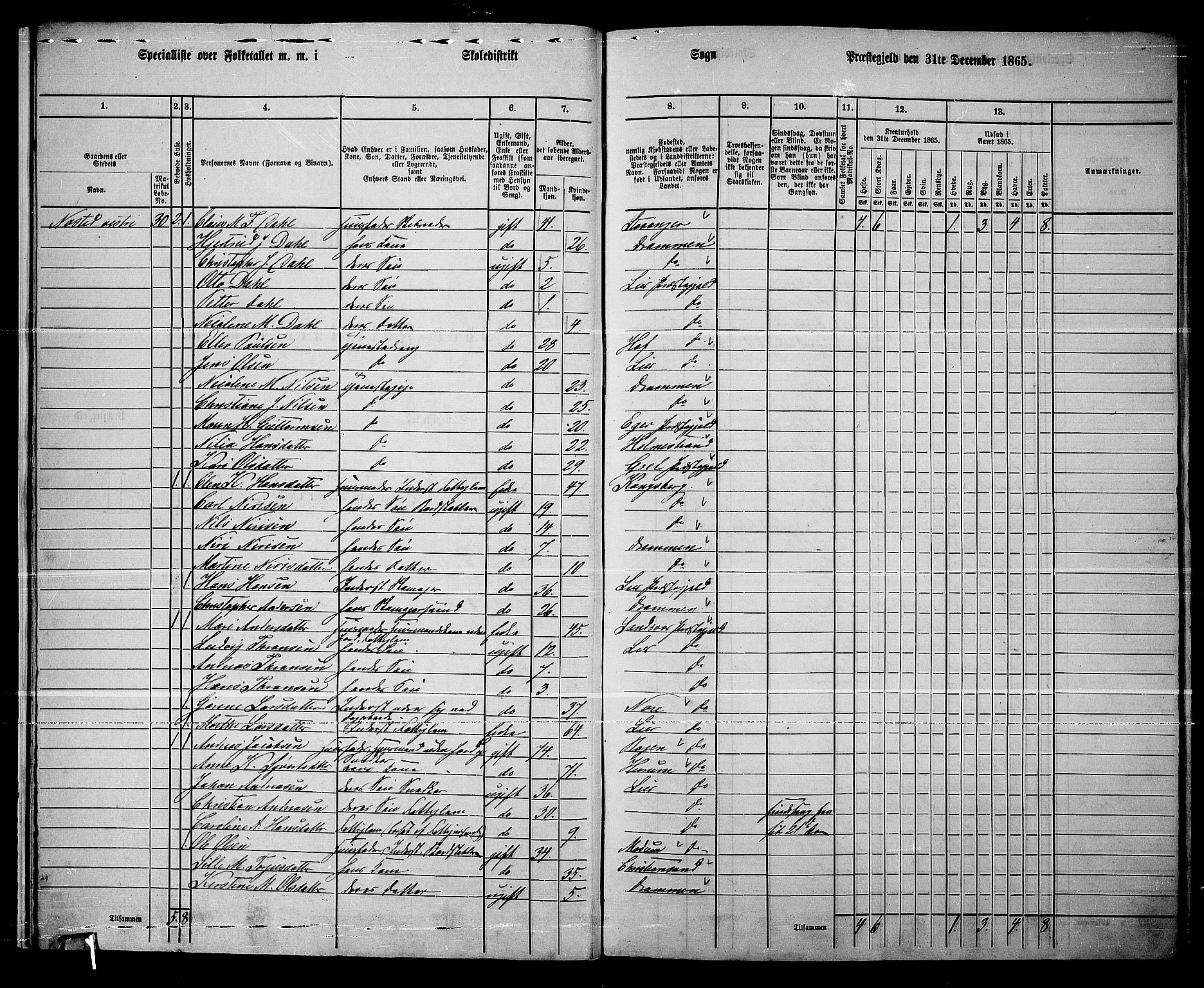 RA, 1865 census for Lier, 1865, p. 17