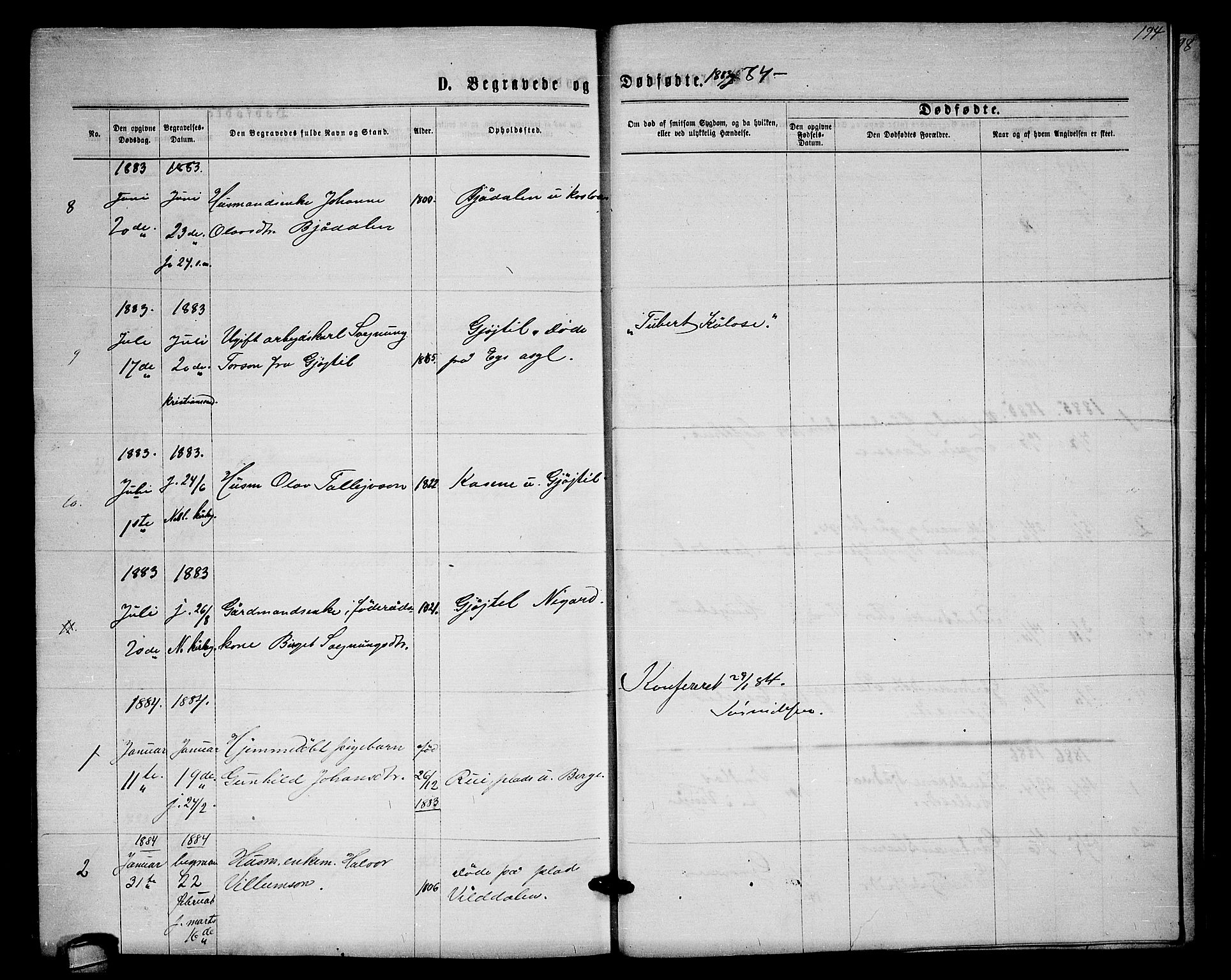 Lårdal kirkebøker, SAKO/A-284/G/Gb/L0002: Parish register (copy) no. II 2, 1865-1888, p. 194