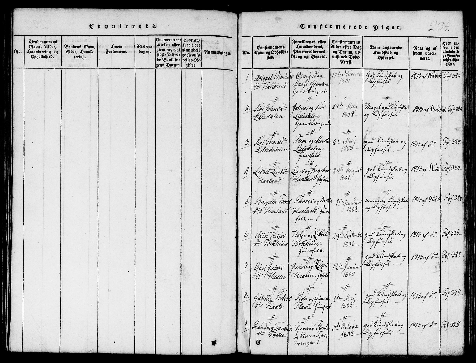 Etne sokneprestembete, SAB/A-75001/H/Hab: Parish register (copy) no. C 1, 1816-1841, p. 234