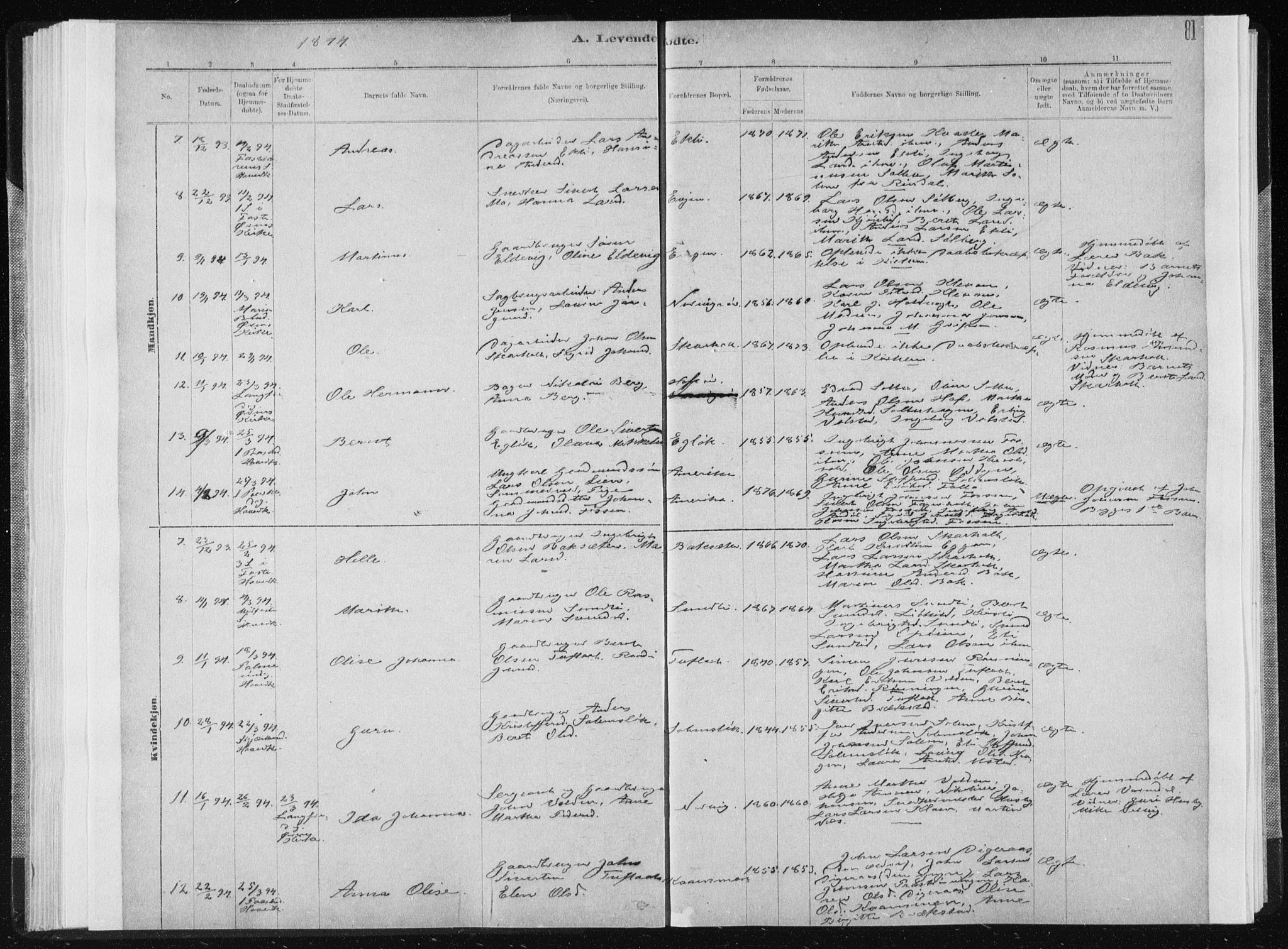 Ministerialprotokoller, klokkerbøker og fødselsregistre - Sør-Trøndelag, AV/SAT-A-1456/668/L0818: Parish register (copy) no. 668C07, 1885-1898, p. 81