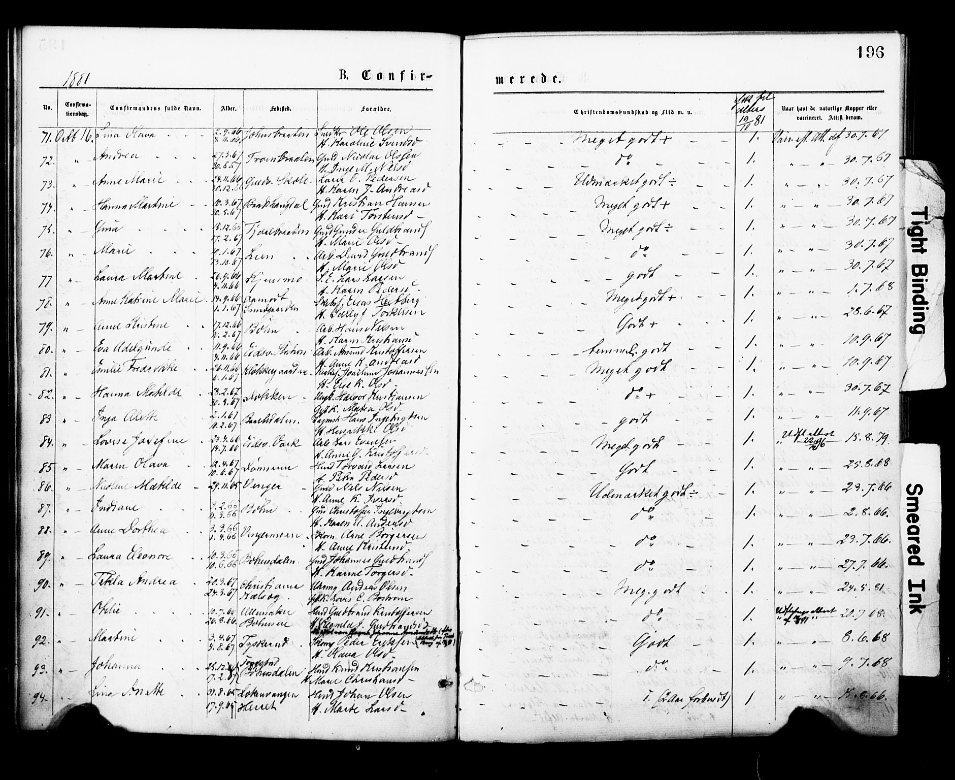 Eidsvoll prestekontor Kirkebøker, SAO/A-10888/F/Fa/L0001: Parish register (official) no. I 1, 1877-1881, p. 196