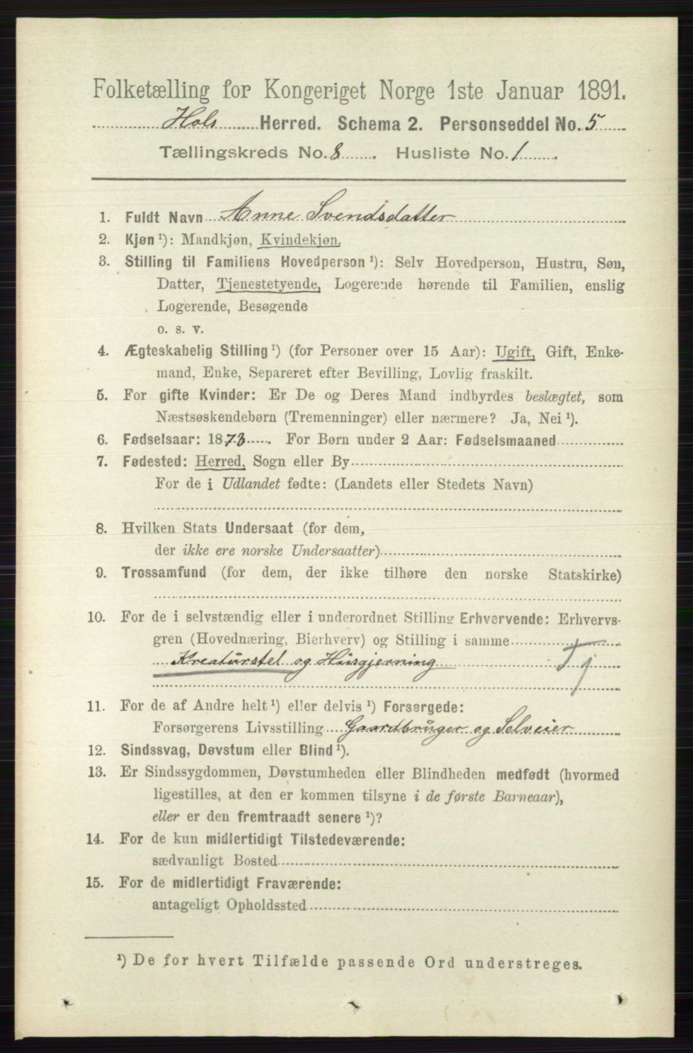 RA, 1891 census for 0620 Hol, 1891, p. 2243