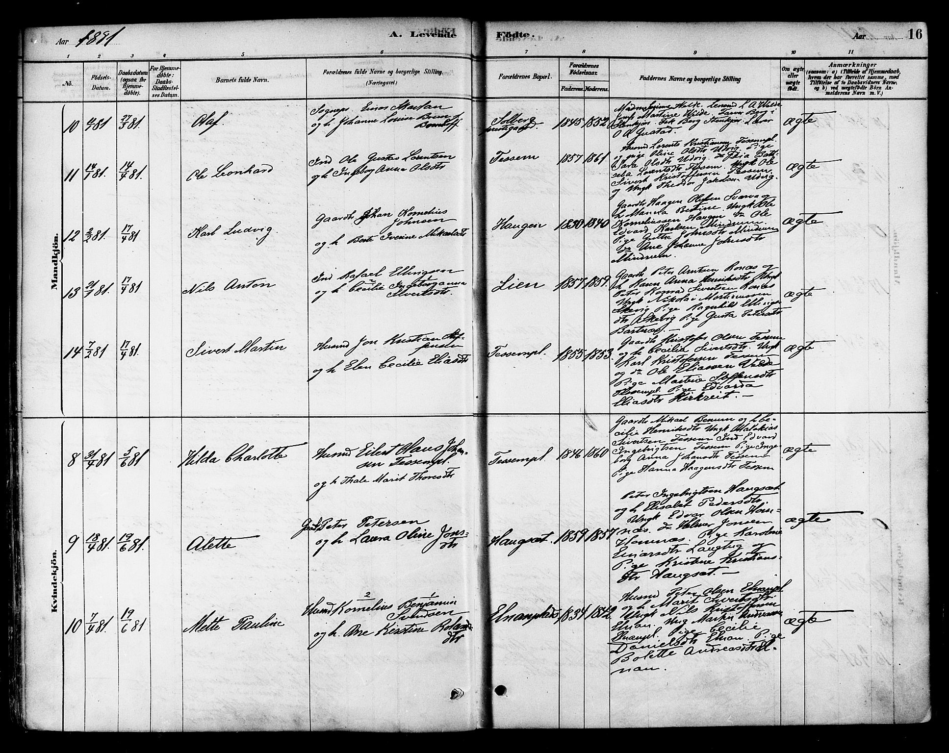 Ministerialprotokoller, klokkerbøker og fødselsregistre - Nord-Trøndelag, AV/SAT-A-1458/741/L0395: Parish register (official) no. 741A09, 1878-1888, p. 16