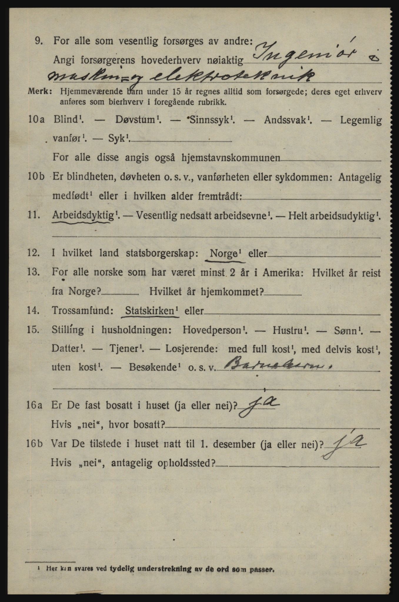 SAO, 1920 census for Skjeberg, 1920, p. 8864